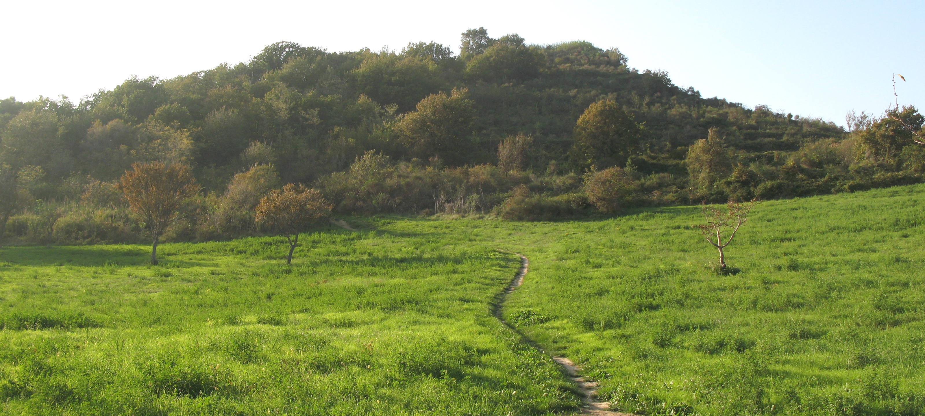 Parco Monte San Bartolo Sentiero 151 - immagine 6