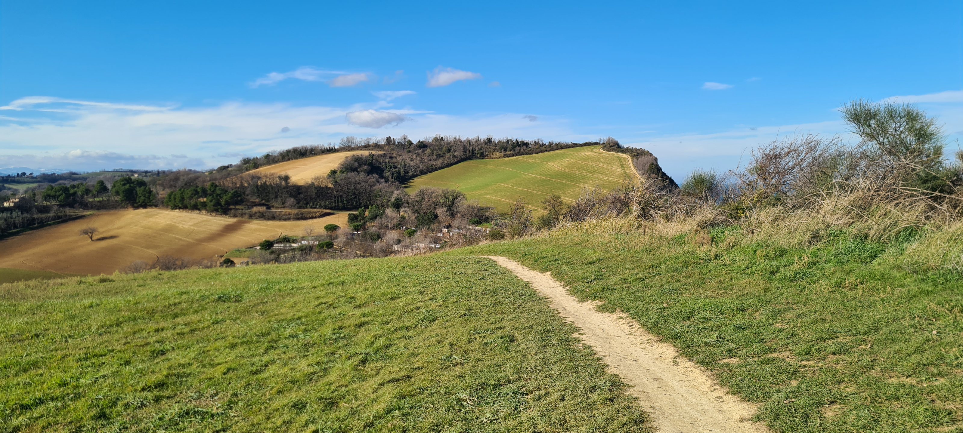 Parco Monte San Bartolo Sentiero 151 - immagine 8