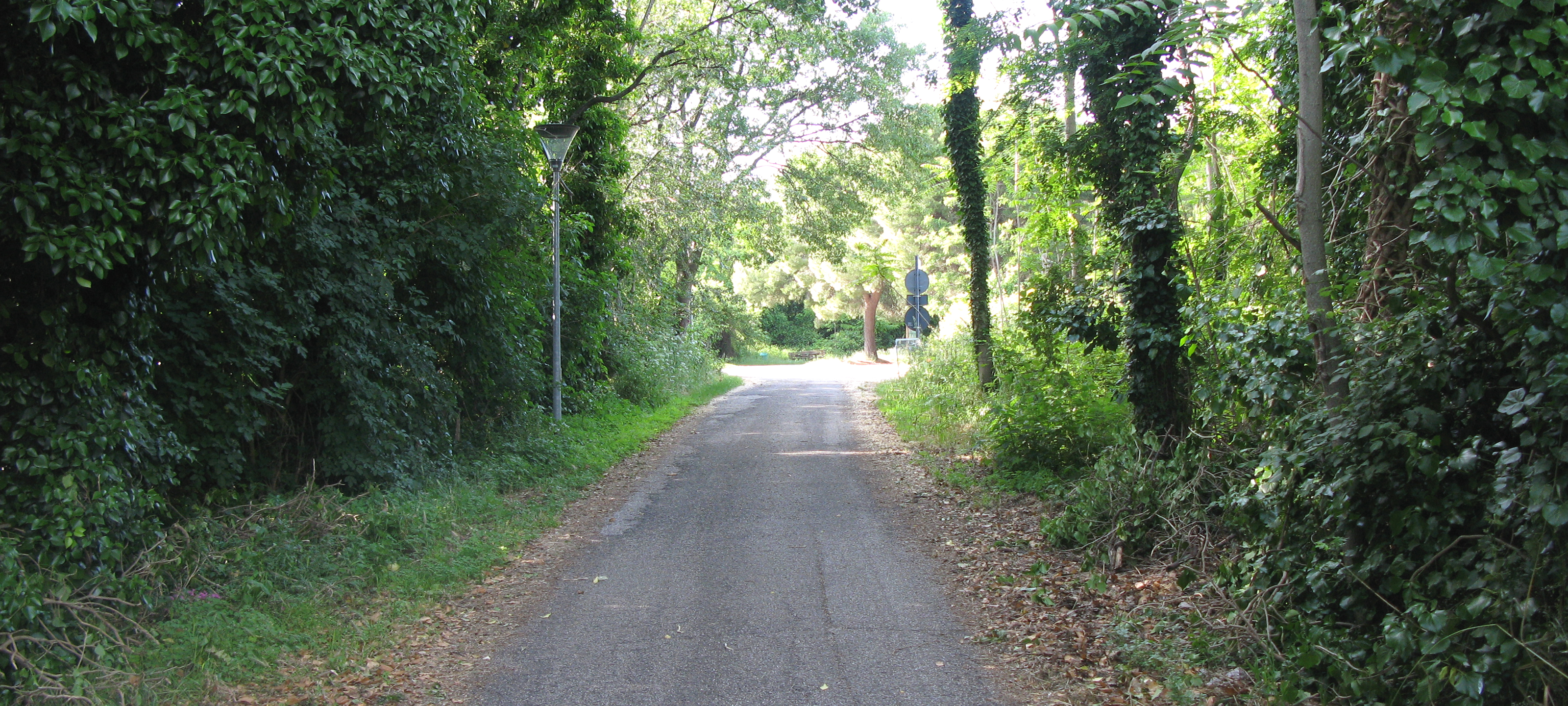 Parco Monte San Bartolo Sentiero 151 - immagine 15