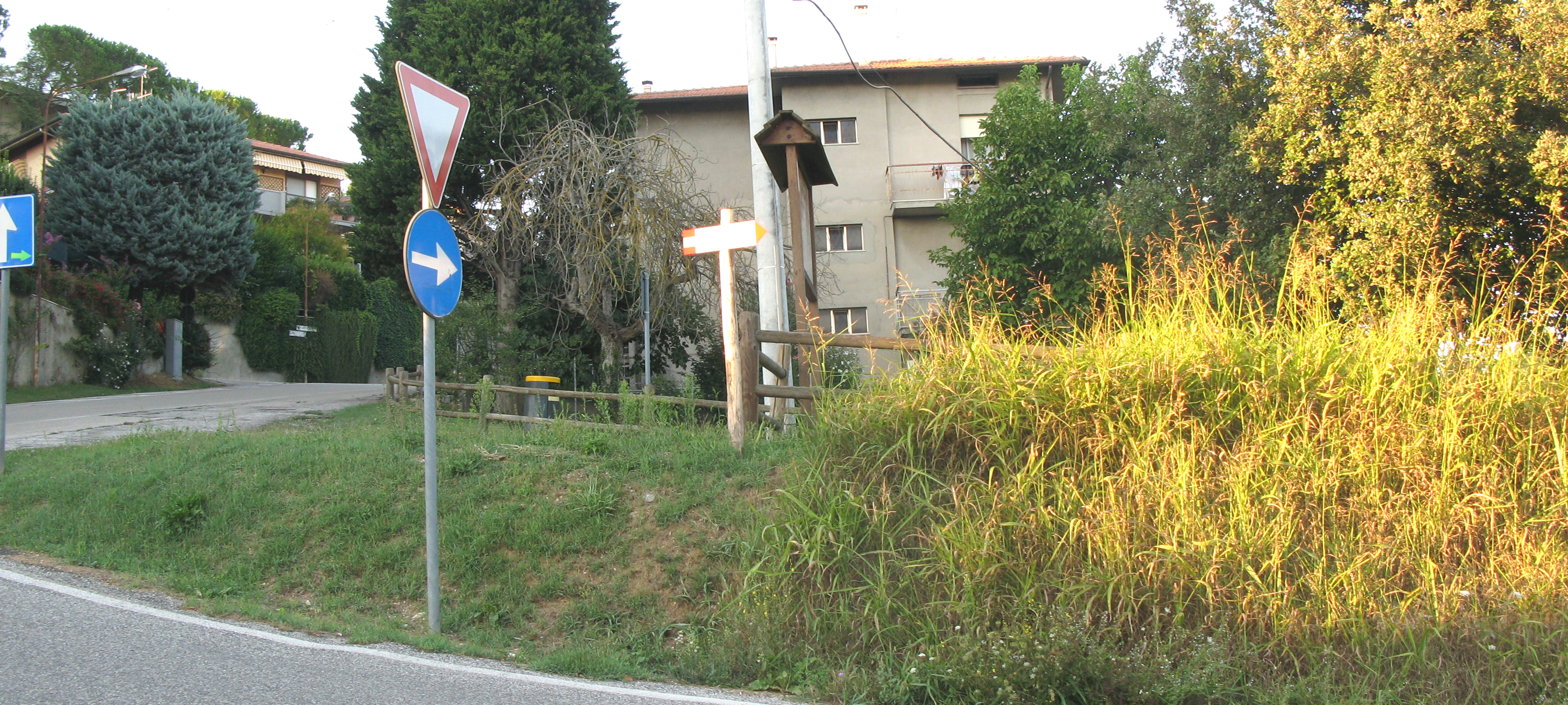 Parco Monte San Bartolo Sentiero 151a - immagine 1
