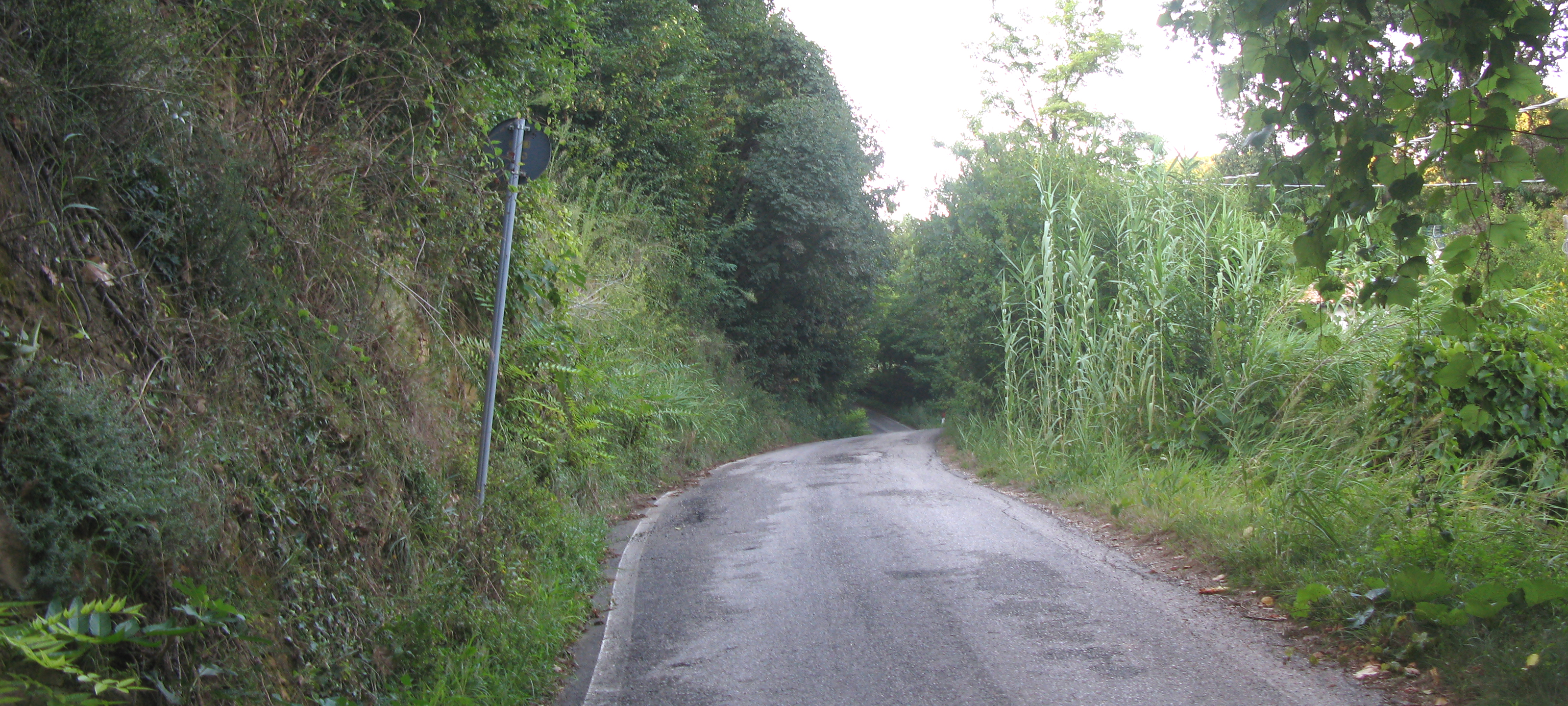 Parco Monte San Bartolo Sentiero 151a - immagine 2