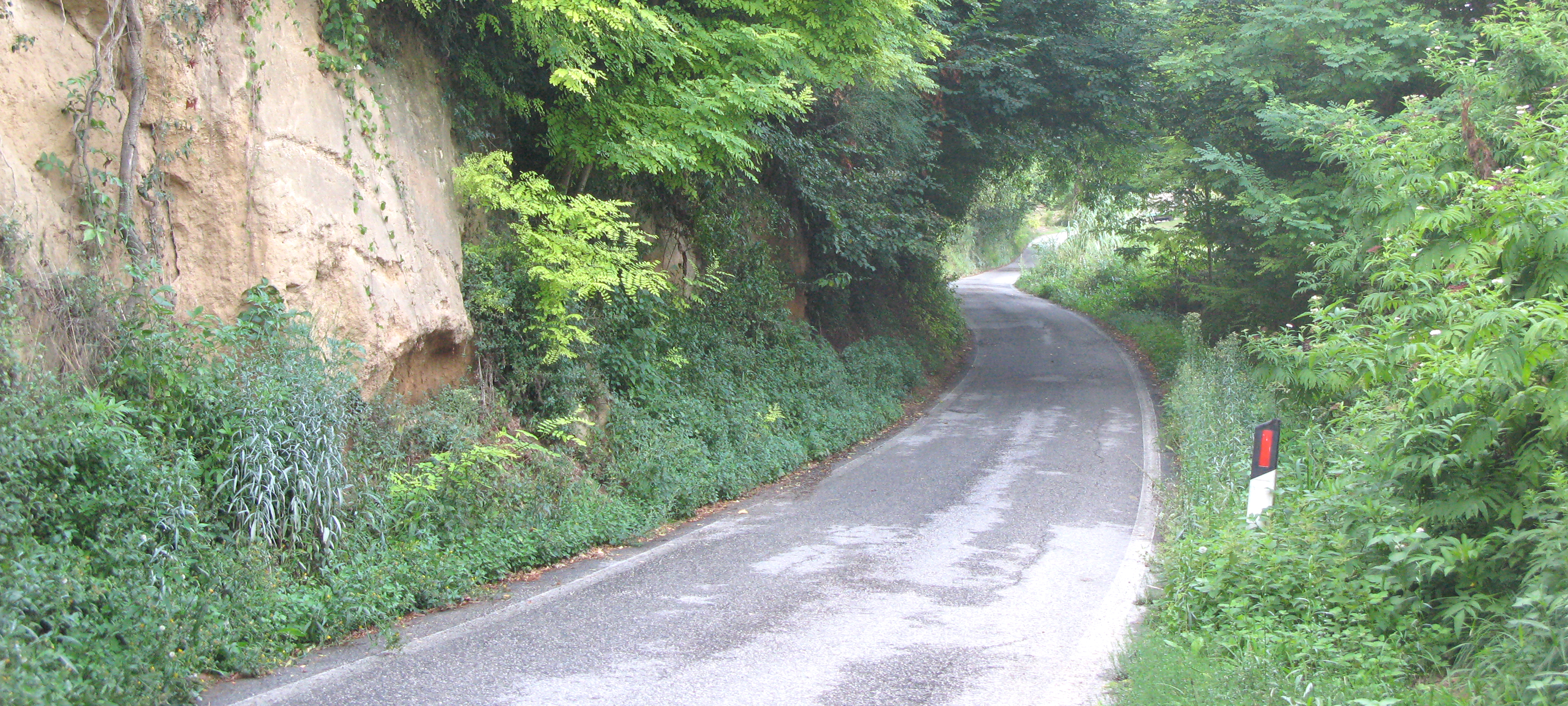 Parco Monte San Bartolo Sentiero 151a - immagine 3