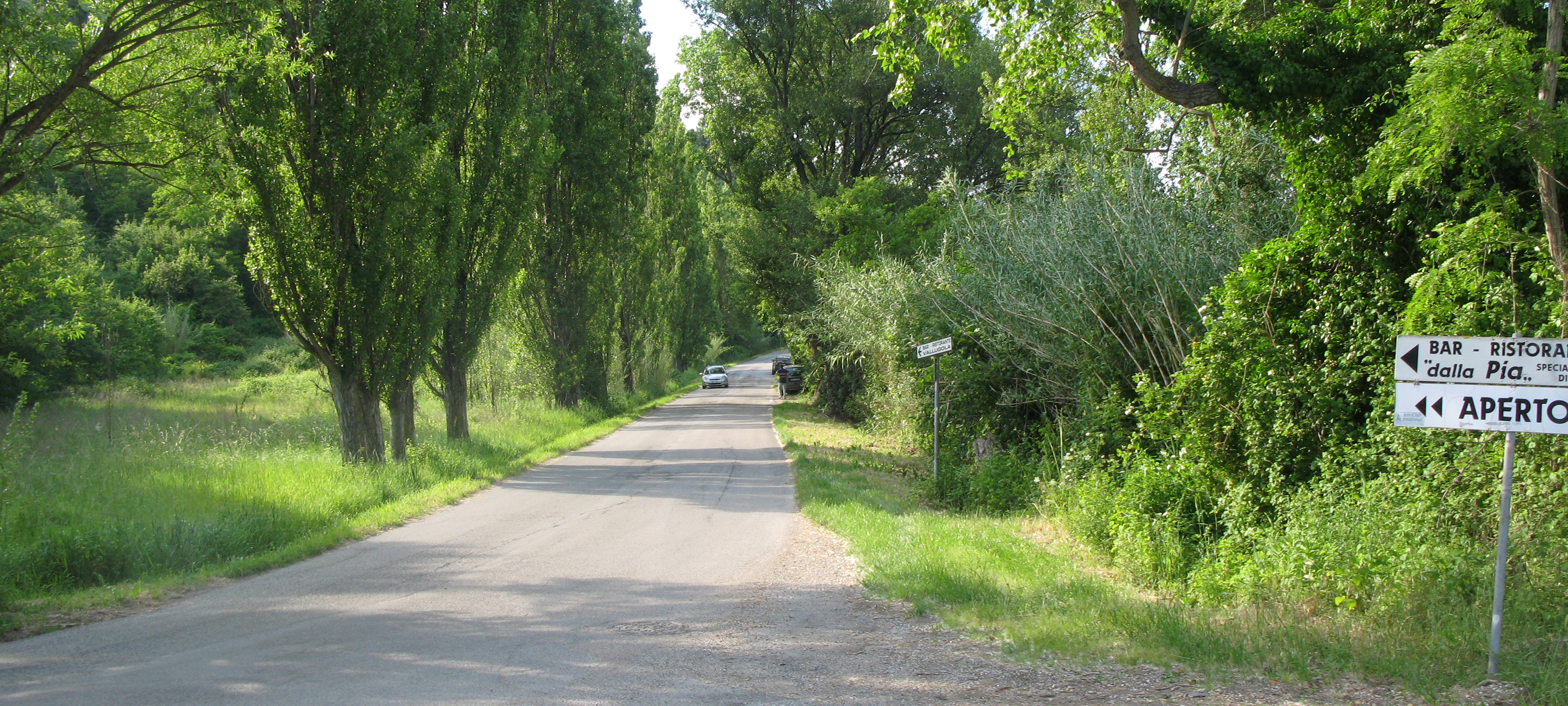 Parco Monte San Bartolo Sentiero 151d - immagine 1