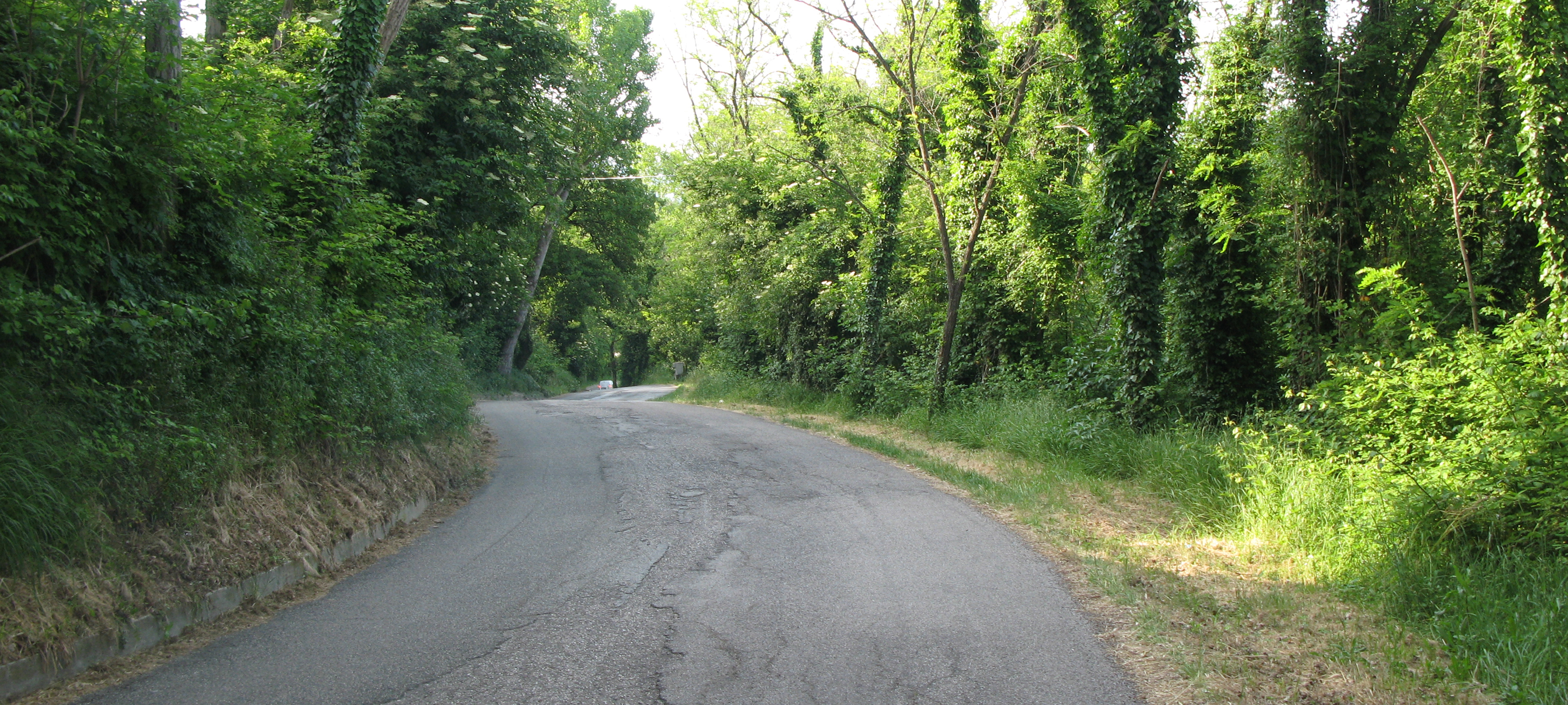 Parco Monte San Bartolo Sentiero 151d - immagine 2