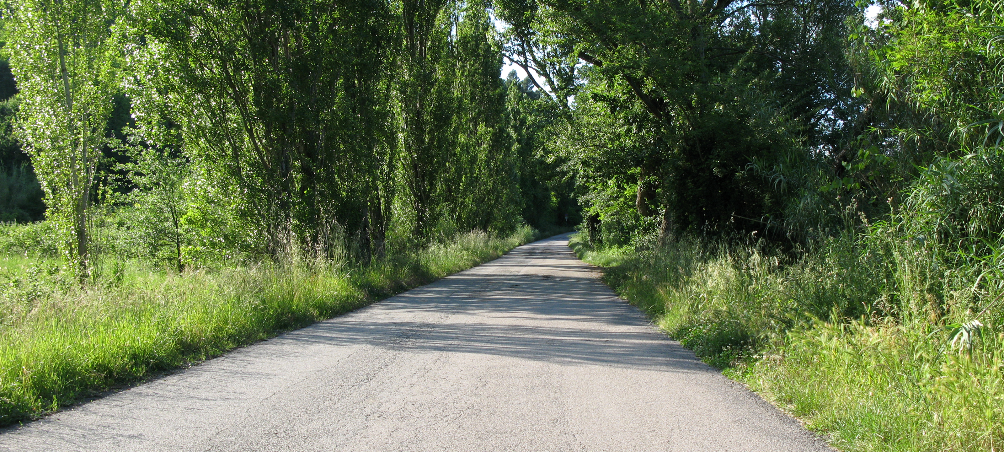 Parco Monte San Bartolo Sentiero 151d - immagine 3