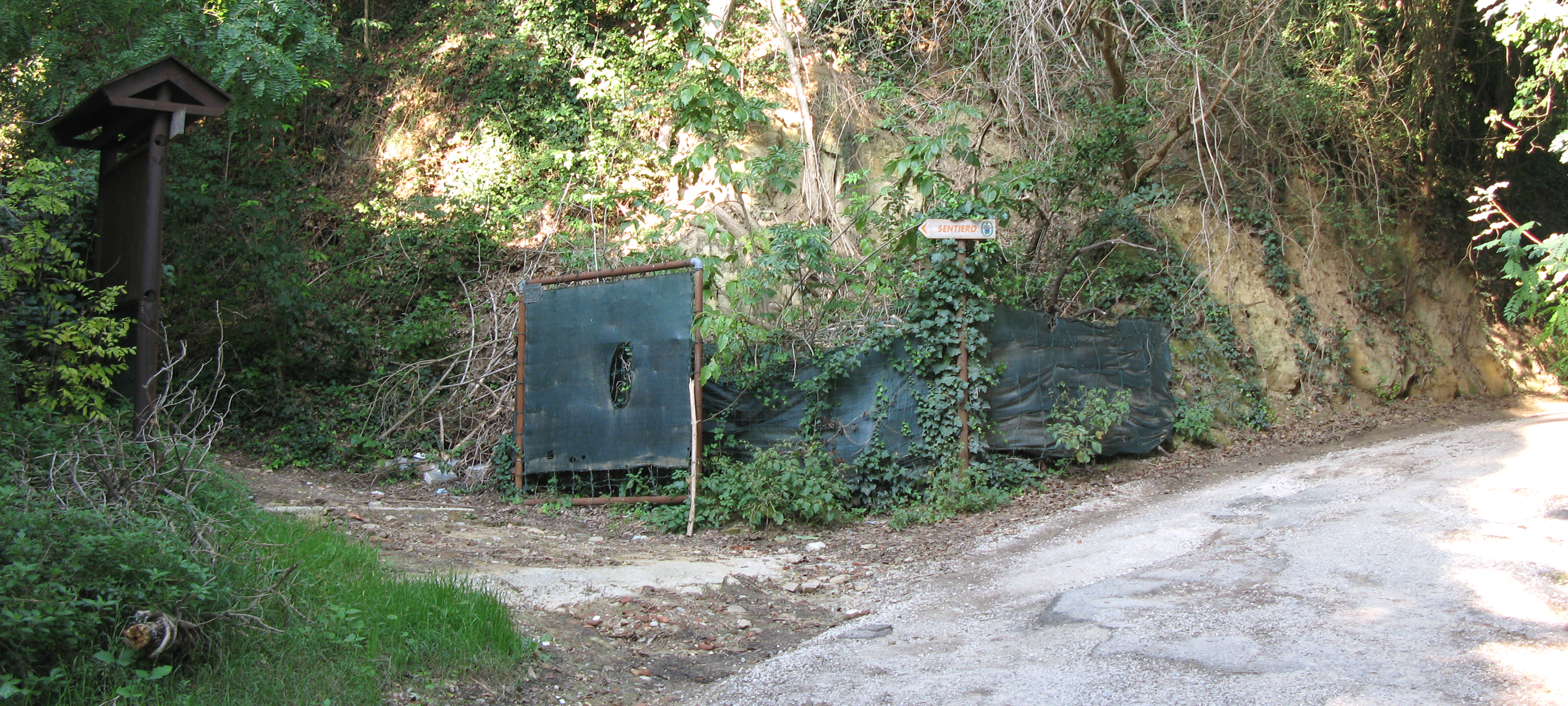Parco Monte San Bartolo Sentiero 152 - immagine 1