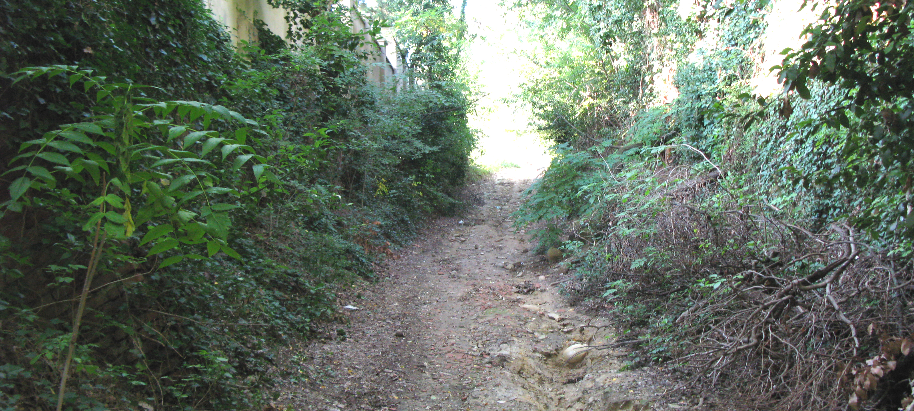 Parco Monte San Bartolo Sentiero 152 - immagine 2
