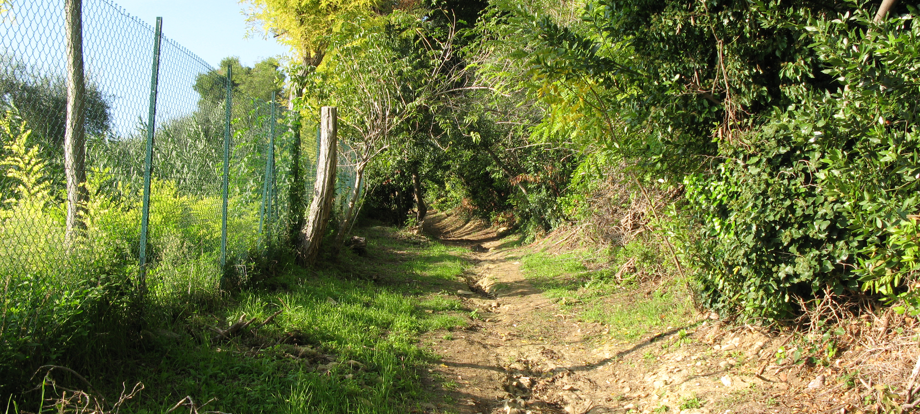 Parco Monte San Bartolo Sentiero 152 - immagine 3