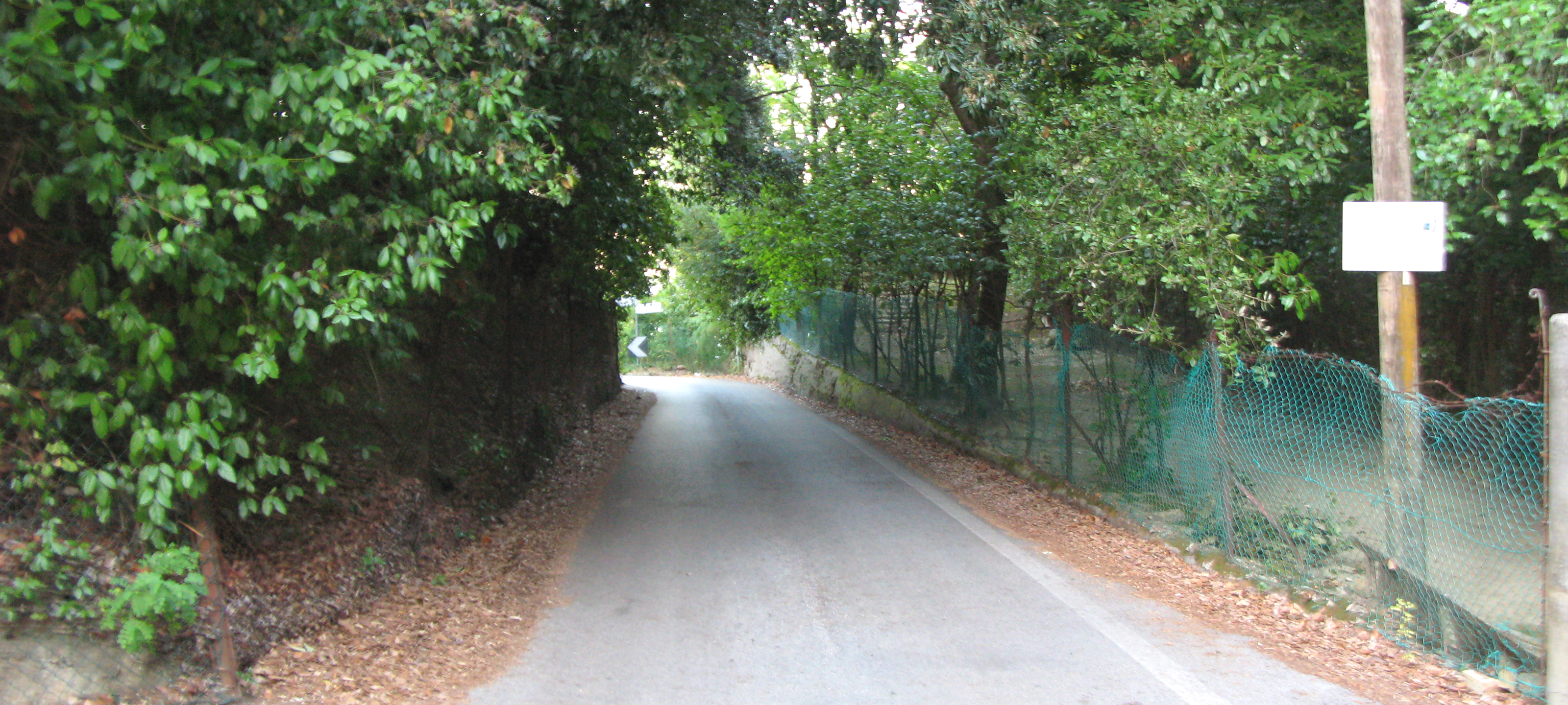 Parco Monte San Bartolo Sentiero 152a - immagine 3
