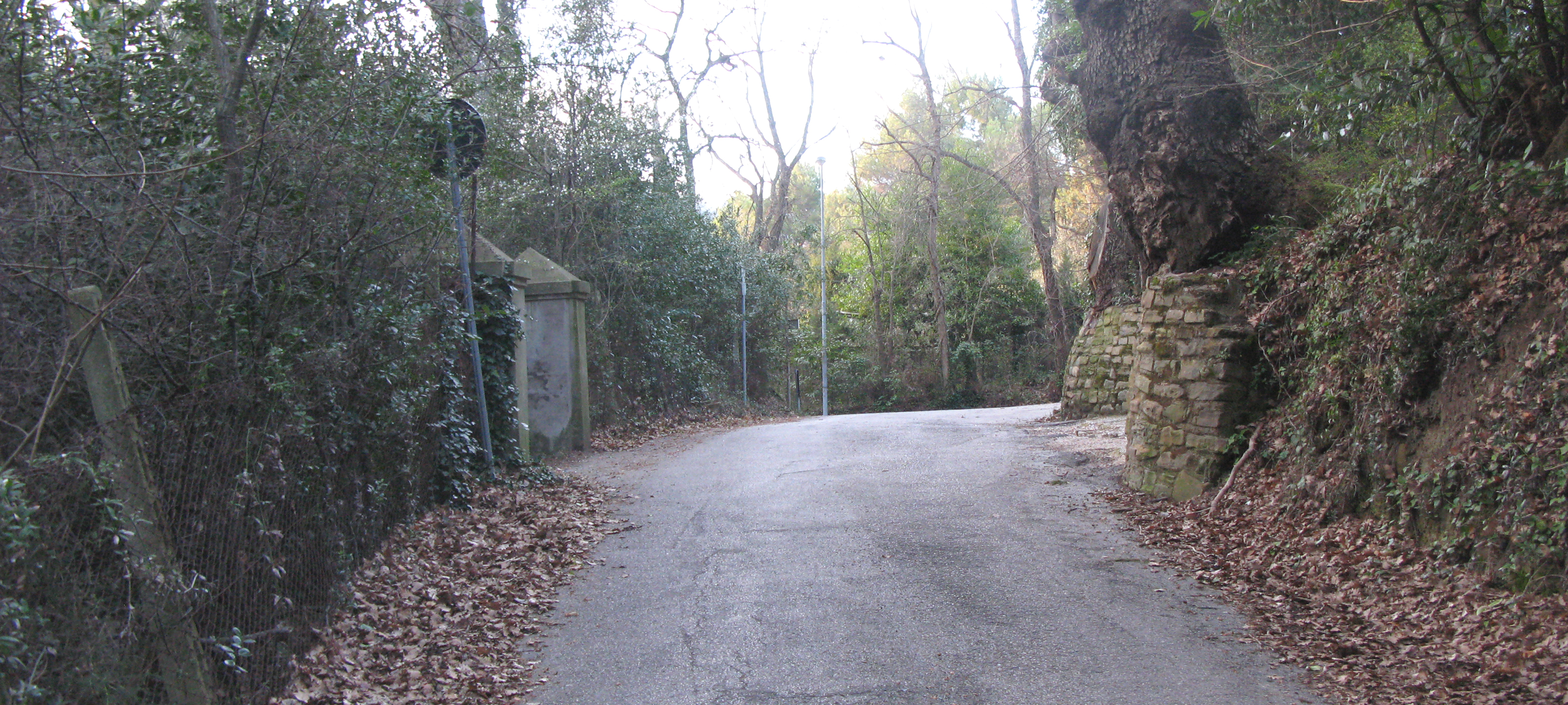 Monte San Bartolo Sentiero 153 - immagine 5