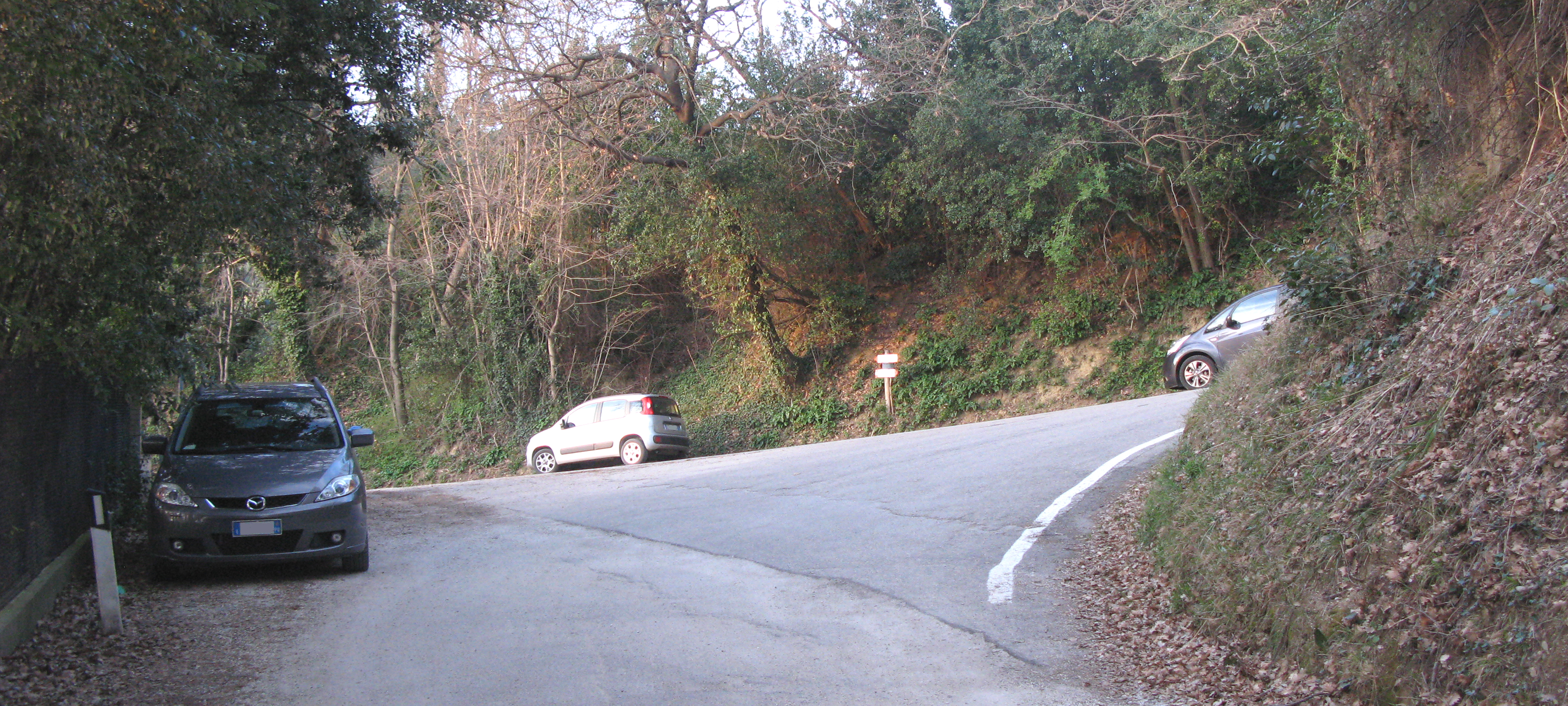 Monte San Bartolo Sentiero 153 - immagine 6