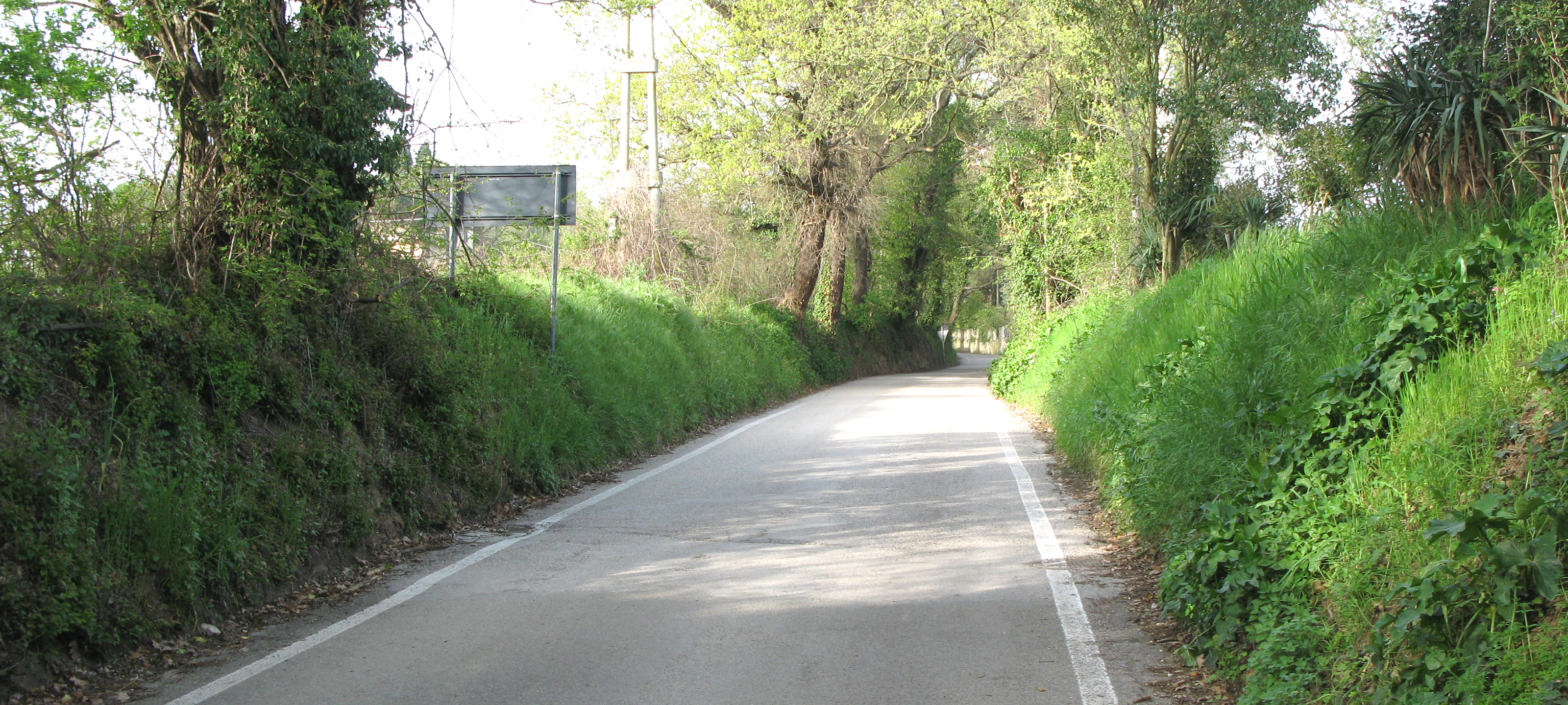 Parco Monte San Bartolo Sentiero 154 - immagine 1