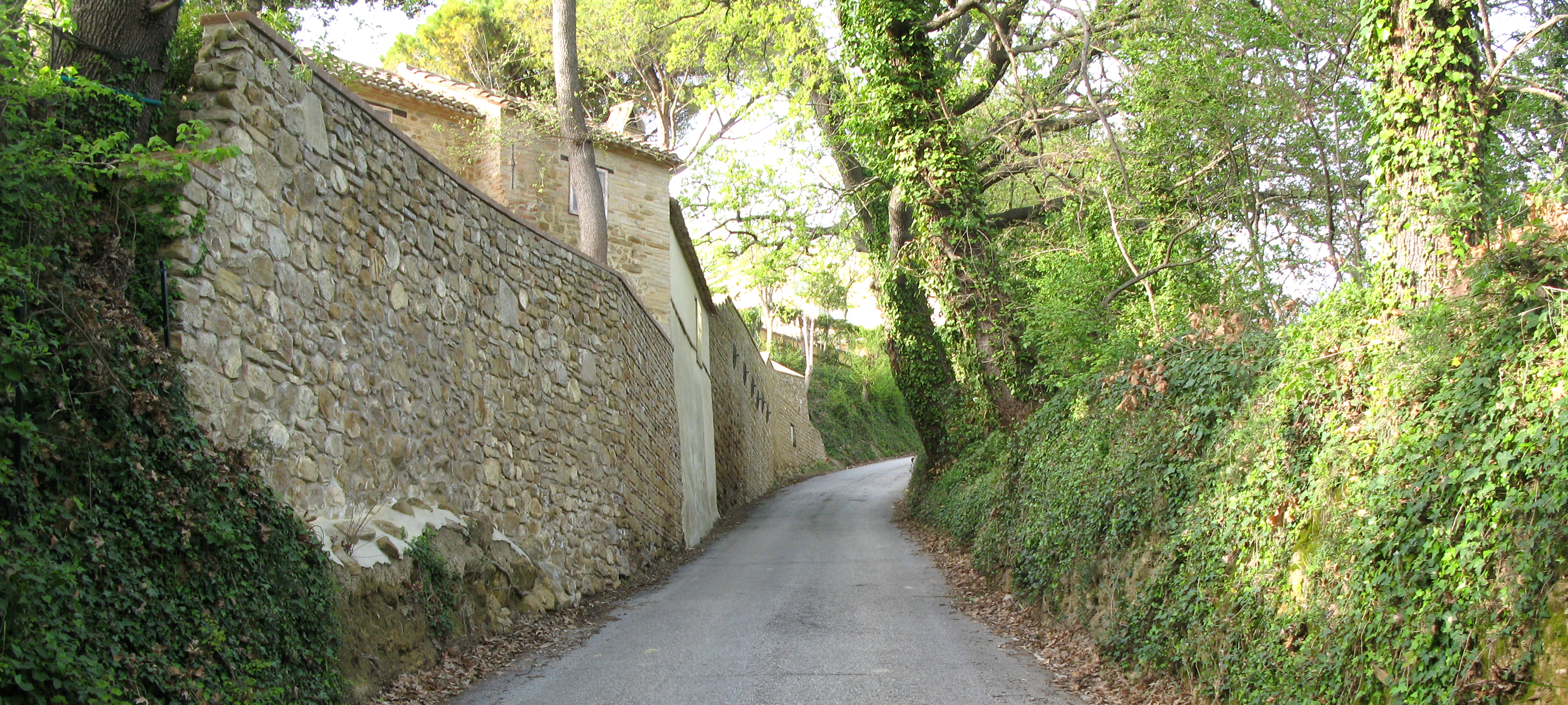 Parco Monte San Bartolo Sentiero 154 - immagine 2