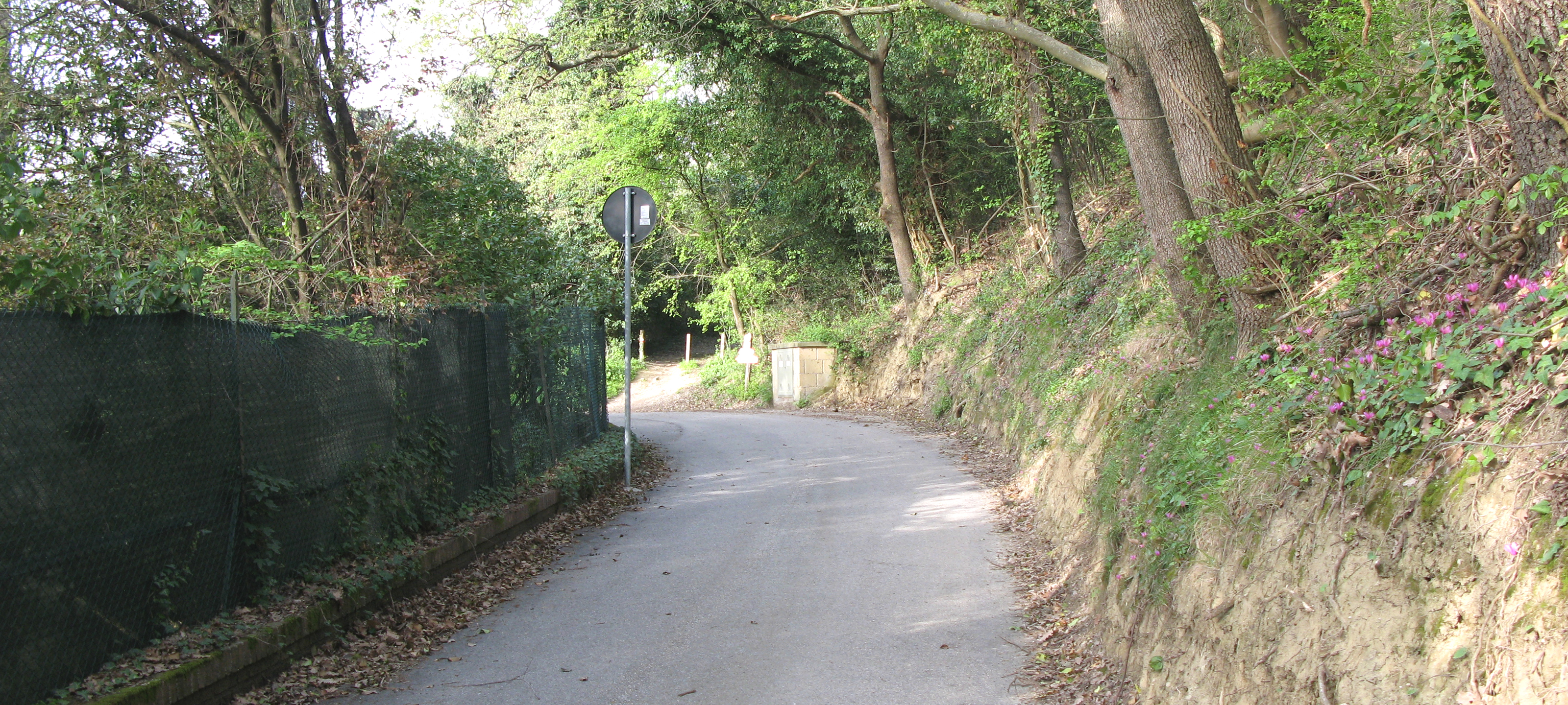Parco Monte San Bartolo Sentiero 154 - immagine 3