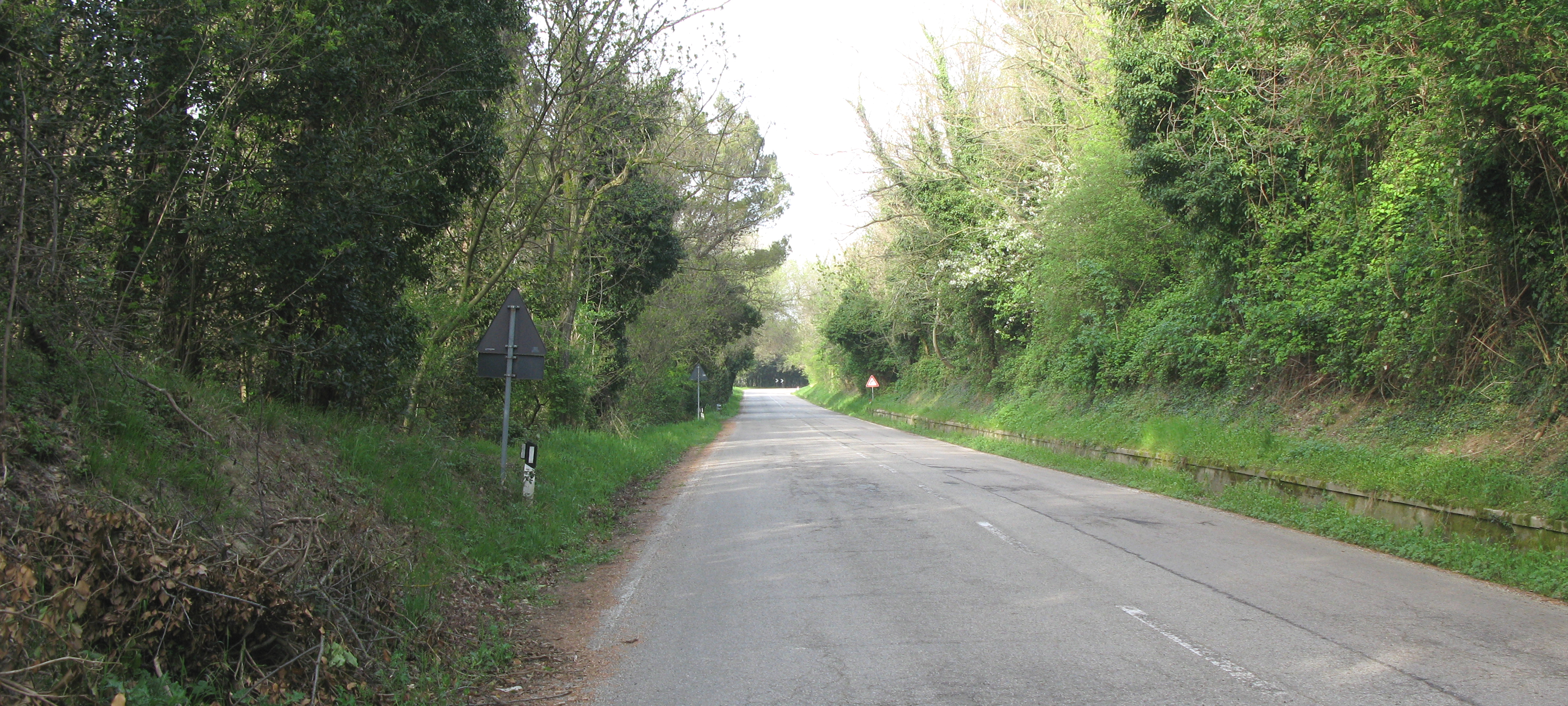 Parco Monte San Bartolo Sentiero 154 - immagine 4