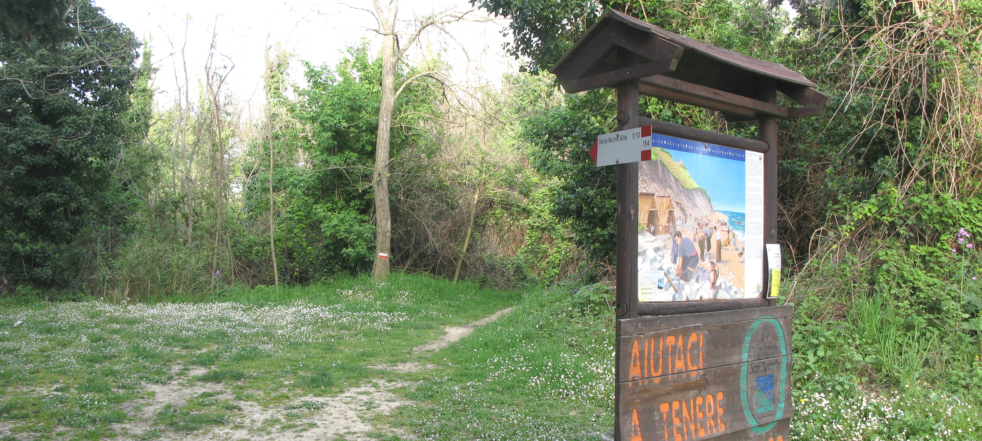 Parco Monte San Bartolo Sentiero 154 - immagine 5