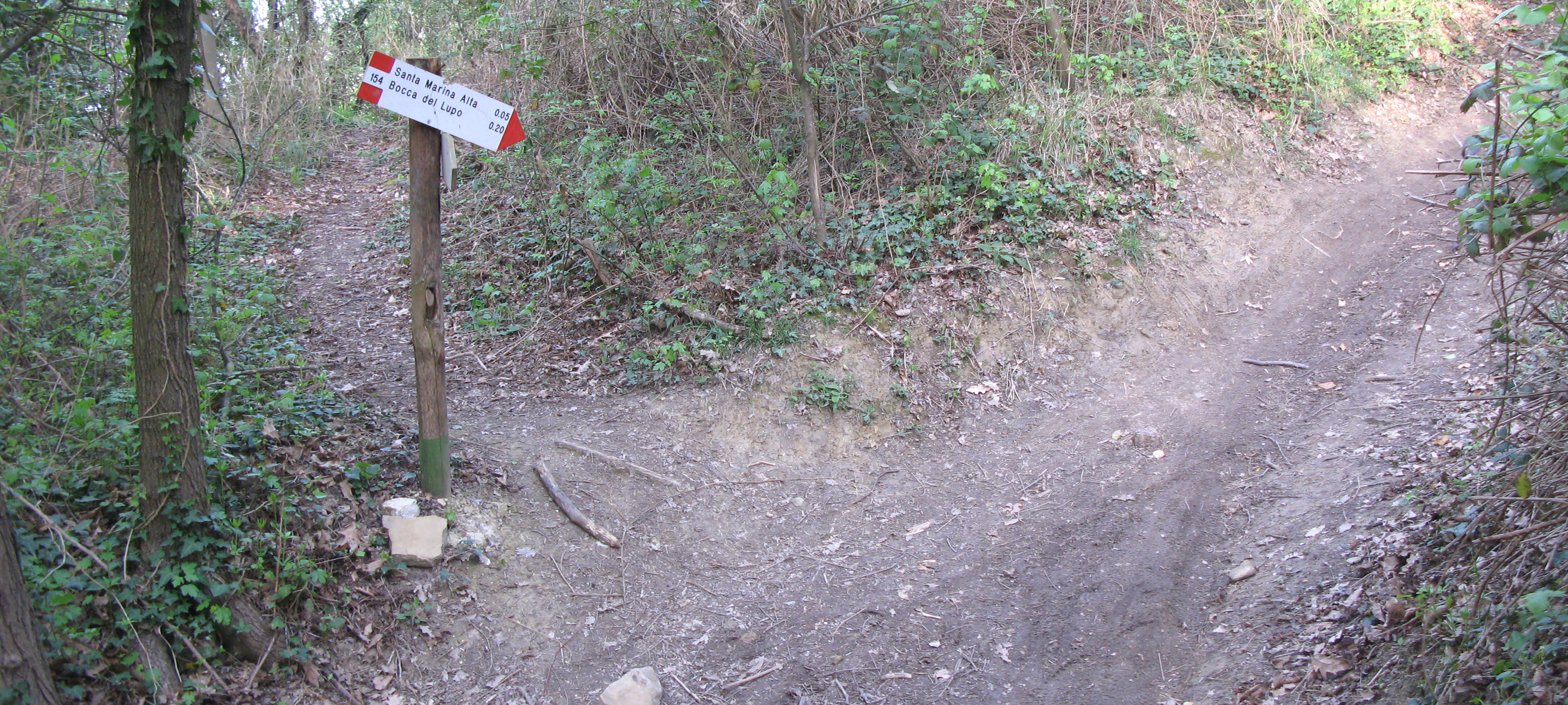 Parco Monte San Bartolo Sentiero 154 - immagine 6