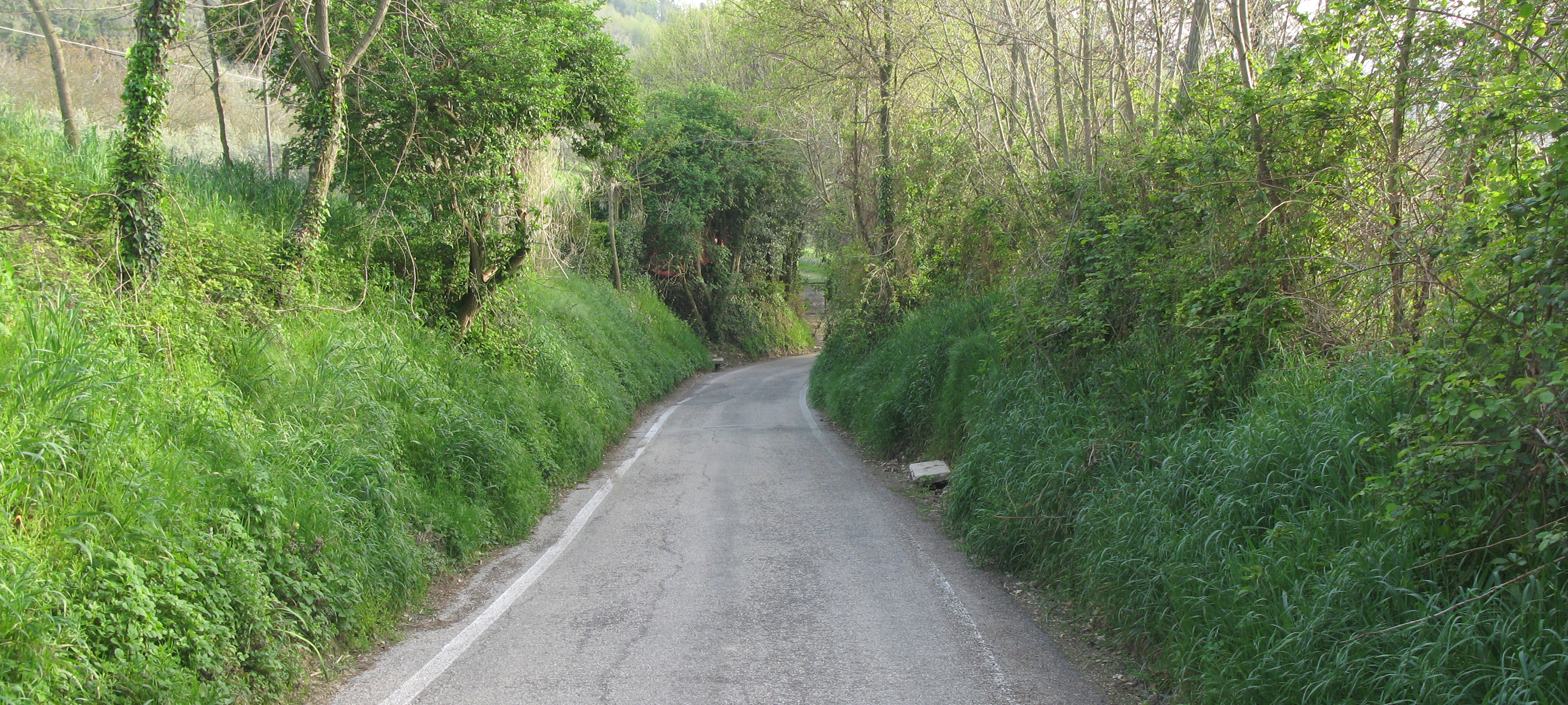 Parco Monte San Bartolo Sentiero 154 - immagine 9
