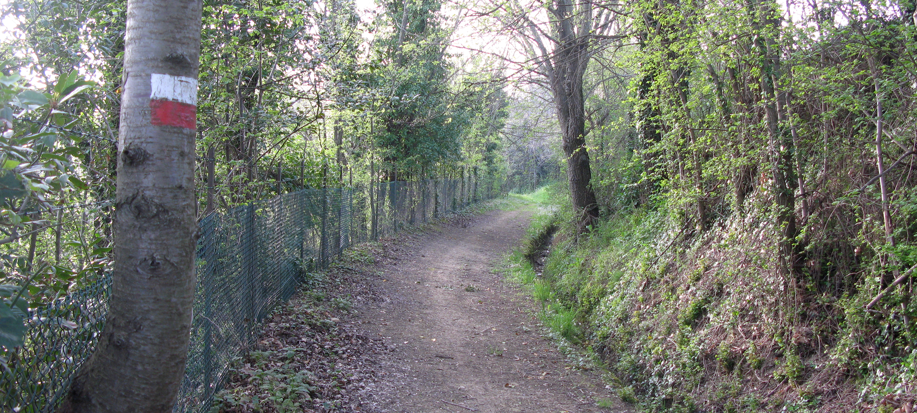 Parco Monte San Bartolo Sentiero 154 - immagine 10