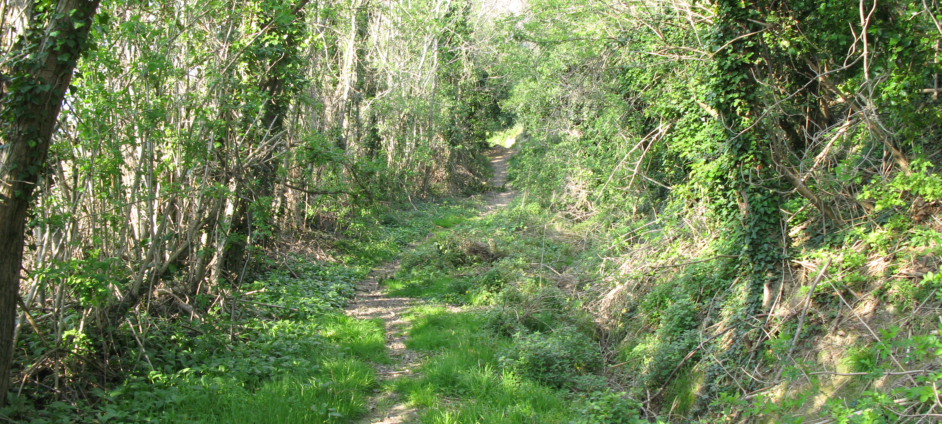 Monte San Bartolo Sentiero 155 - immagine 2