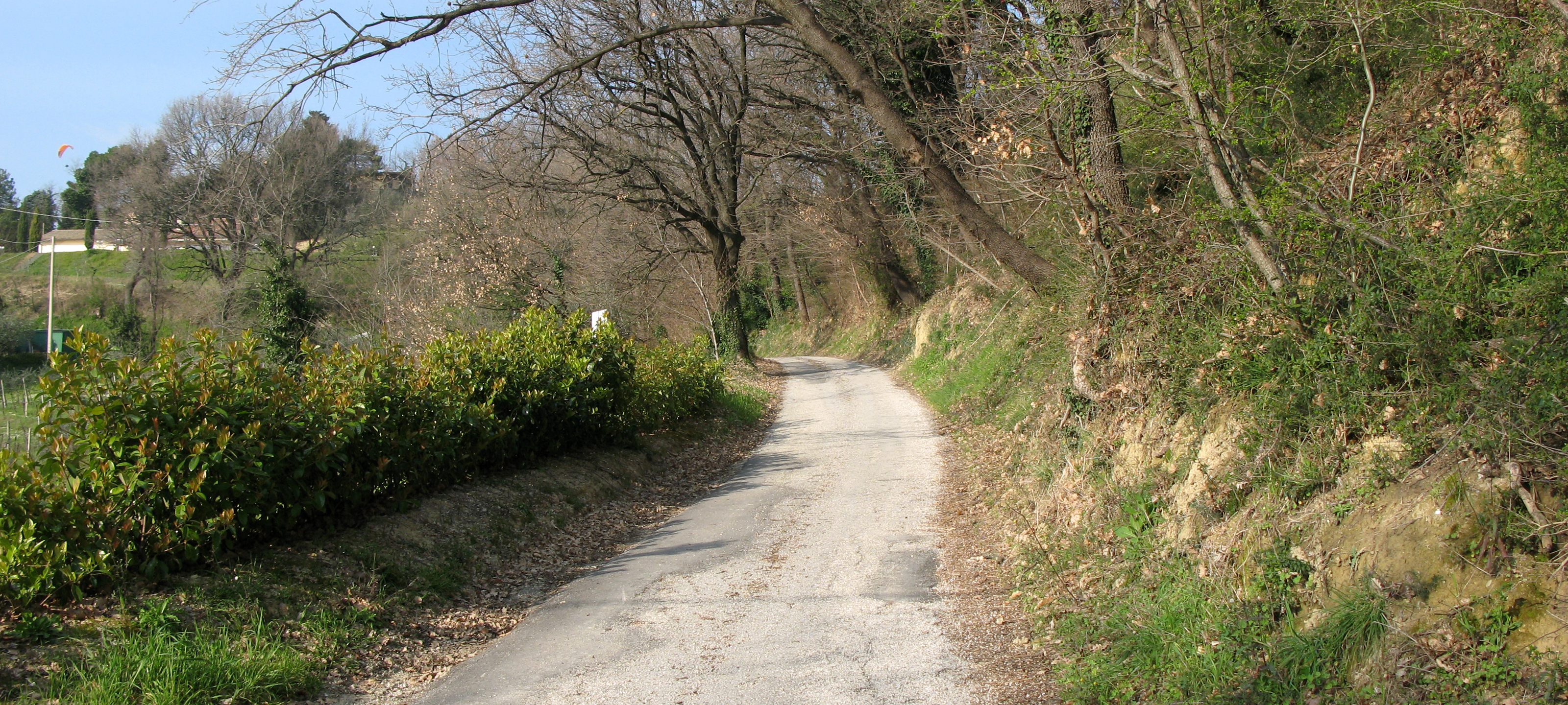 Monte San Bartolo Sentiero 155 - immagine 3