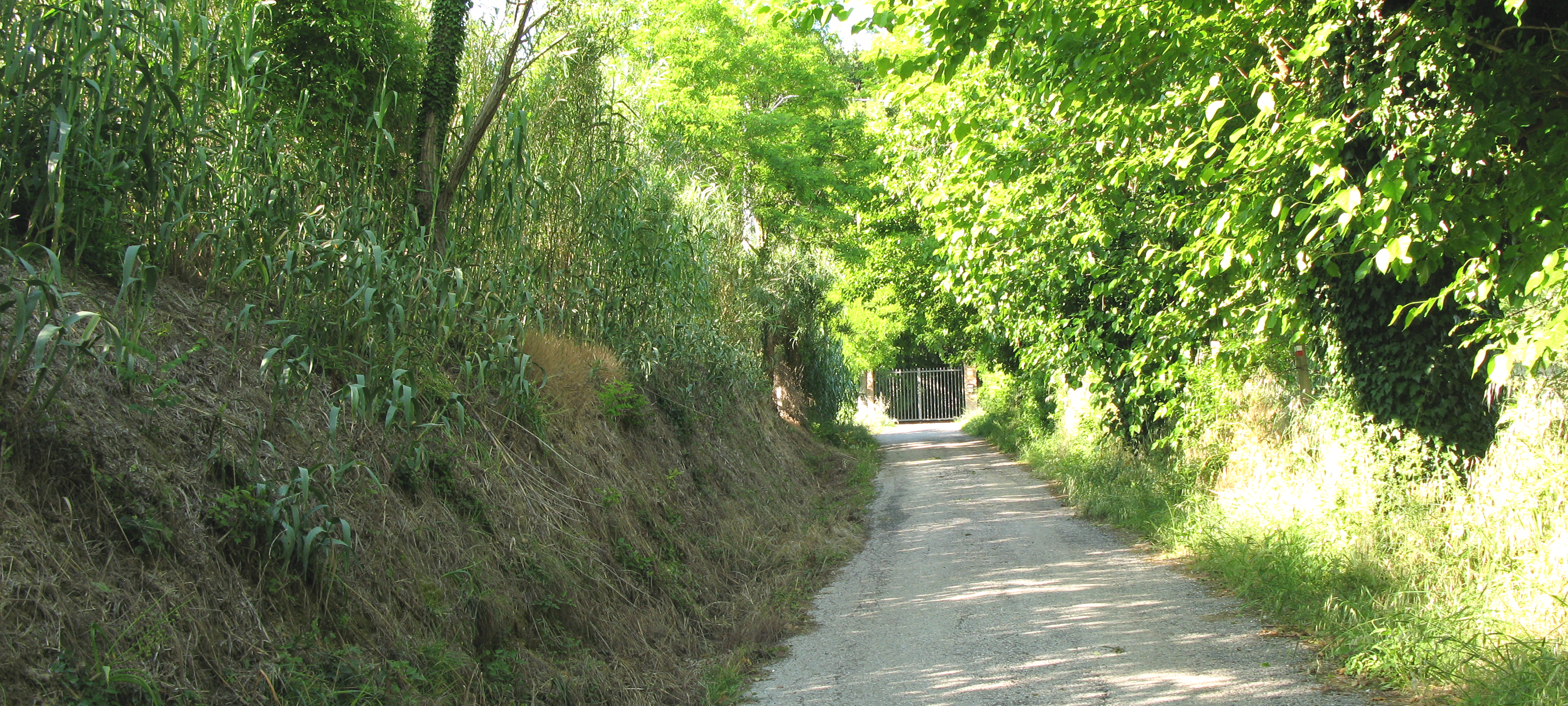 Parco Monte San Bartolo Sentiero 156 - immagine 1
