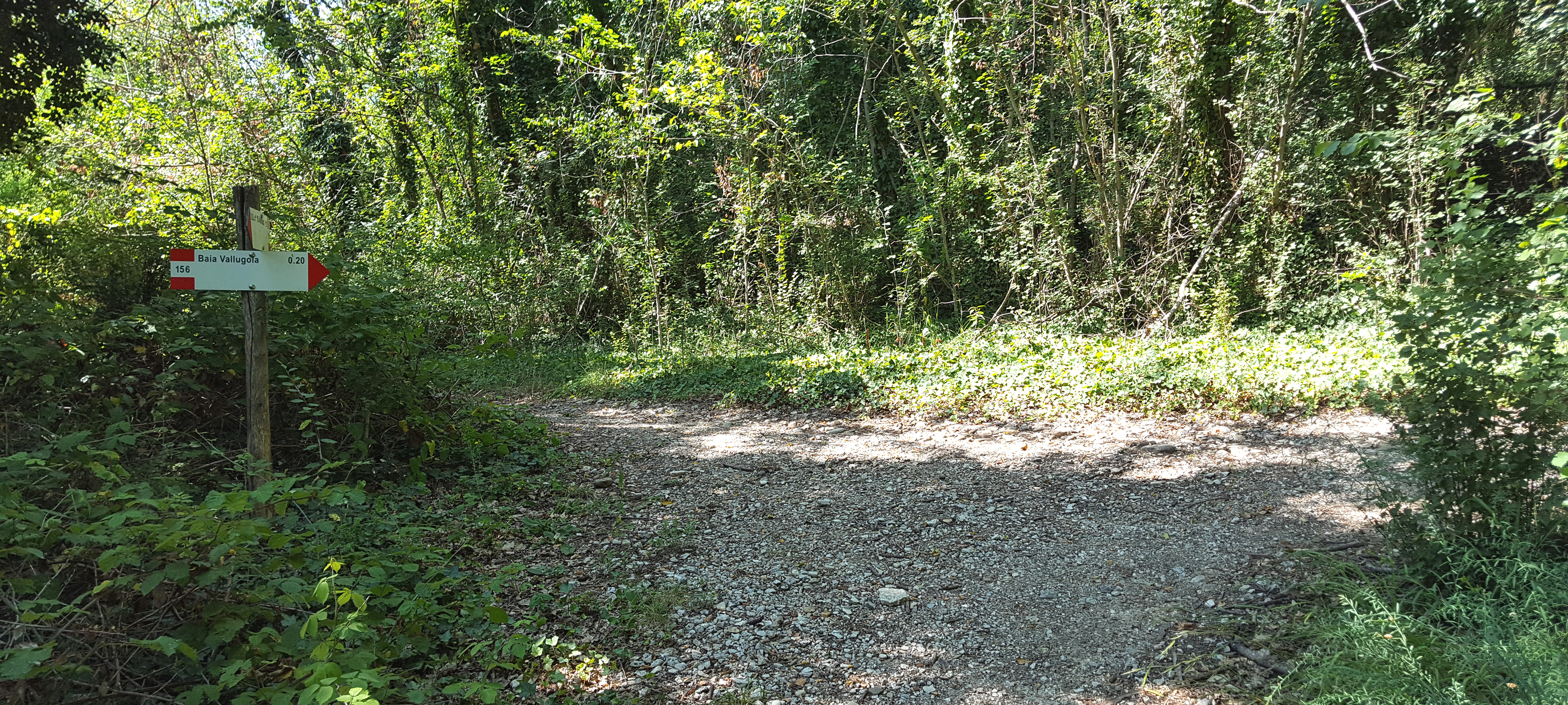 Parco Monte San Bartolo Sentiero 156 - immagine 4