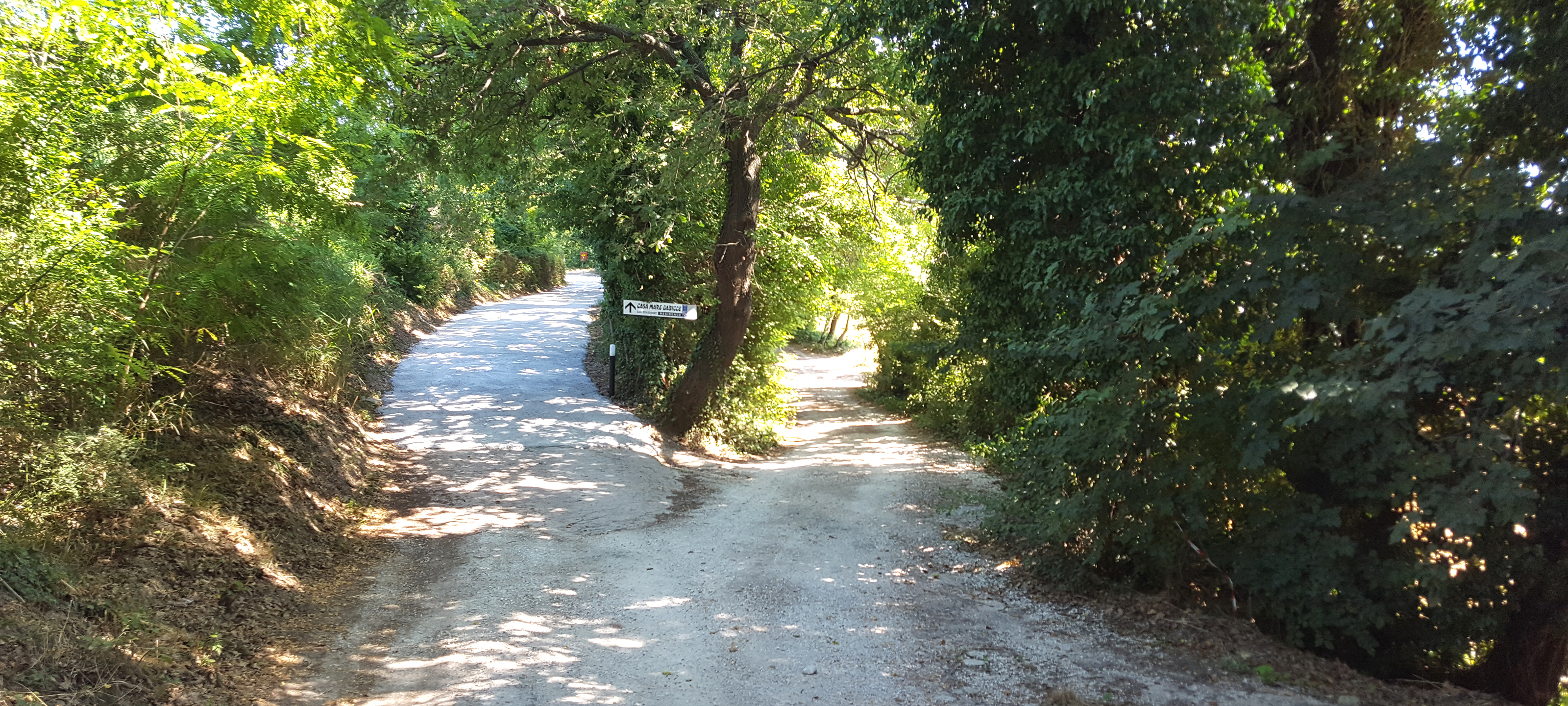 Parco Monte San Bartolo Sentiero 156 - immagine 6