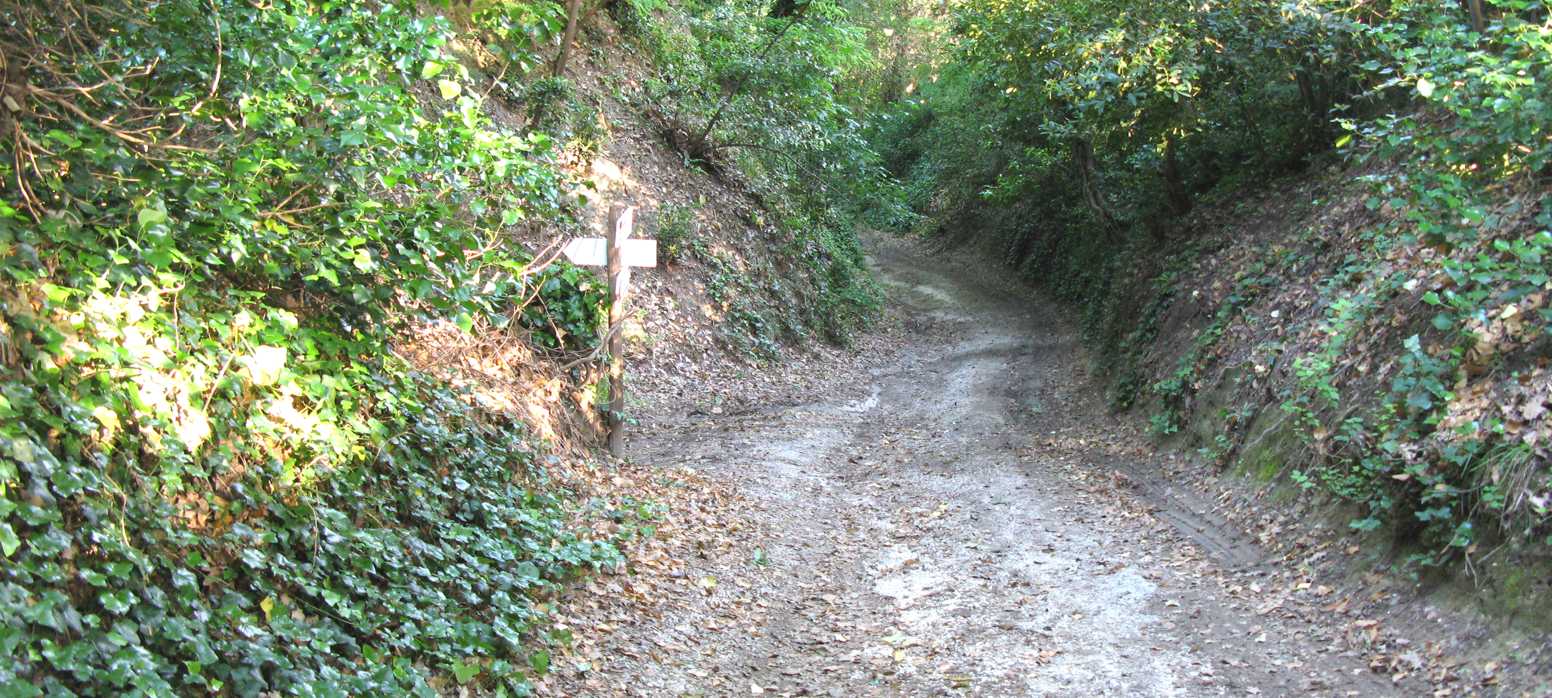 Parco Monte San Bartolo Sentiero 156 - immagine 7