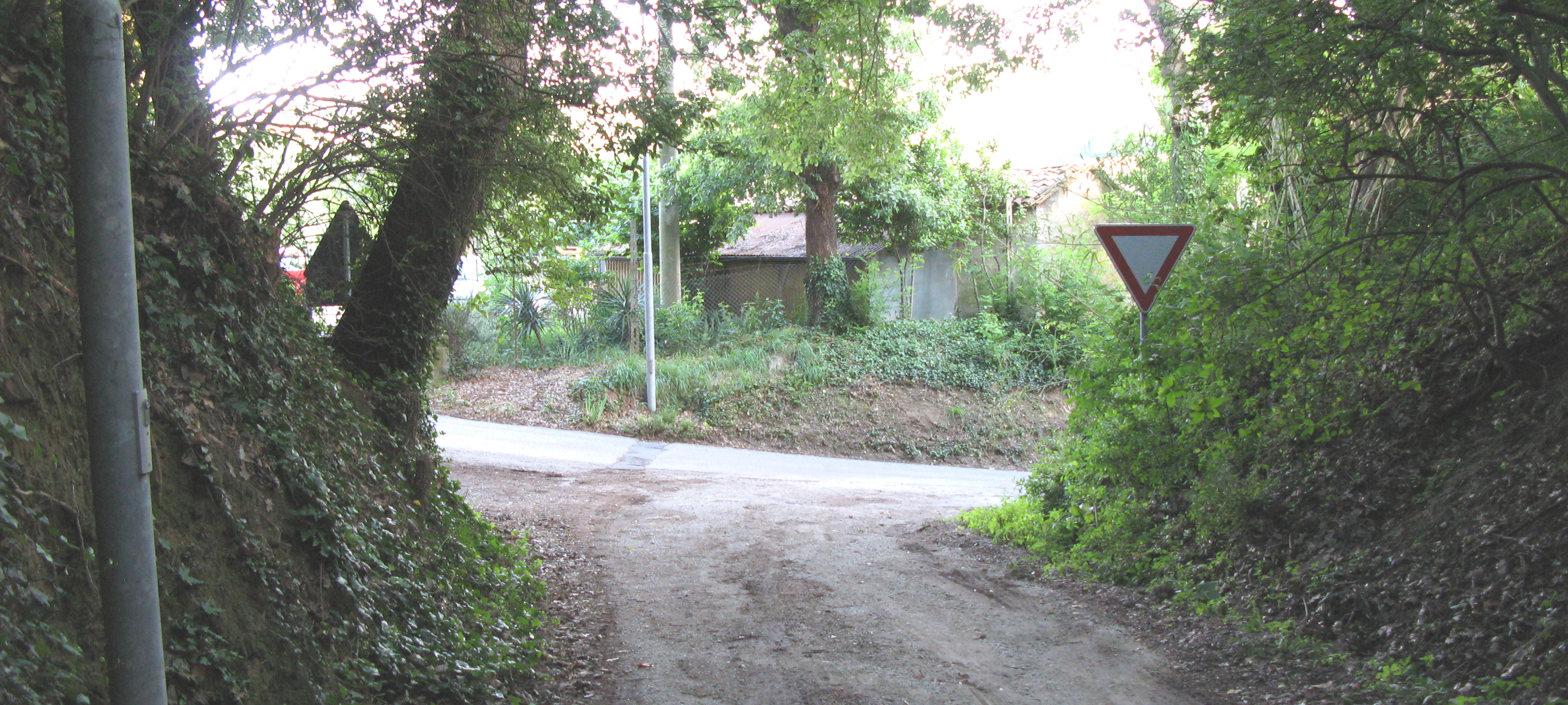 Parco Monte San Bartolo Sentiero 156 - immagine 8