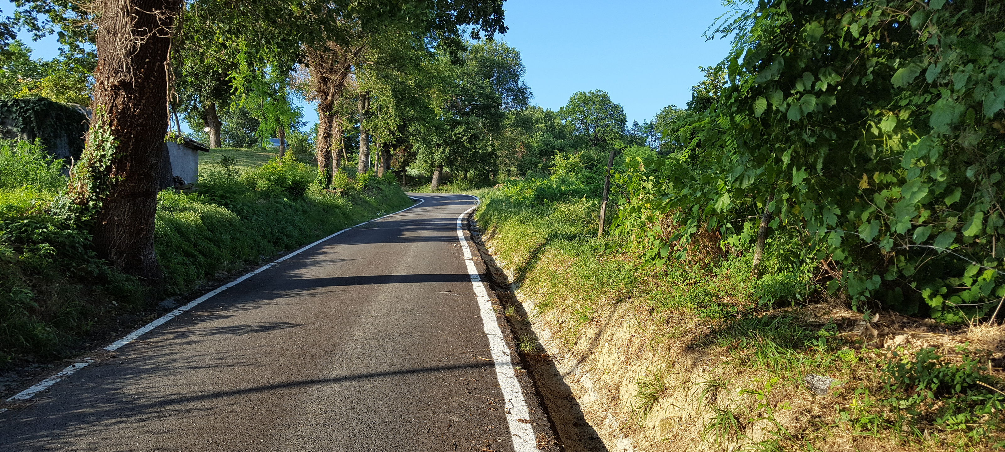 Parco Monte San Bartolo Sentiero 156 - immagine 9