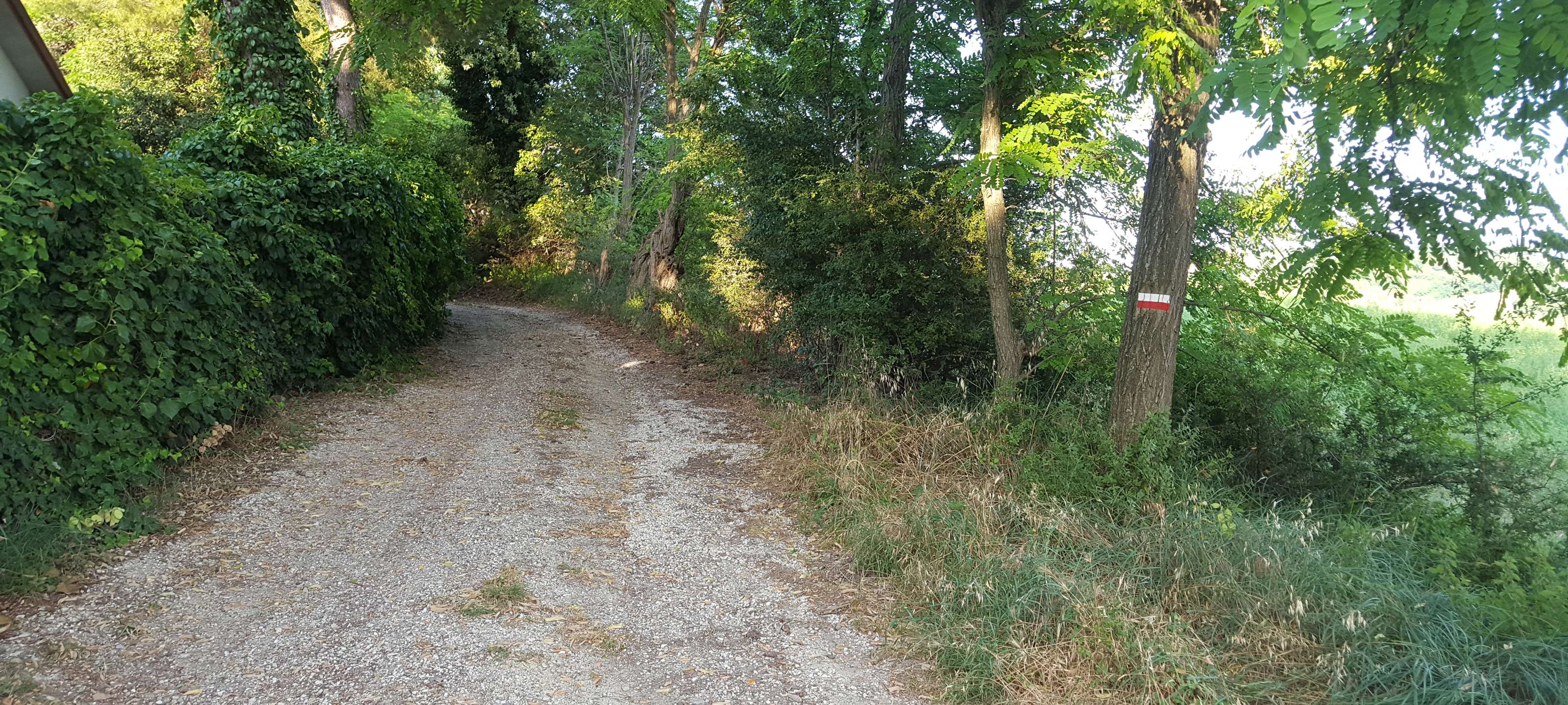 Parco Monte San Bartolo Sentiero 156 - immagine 11