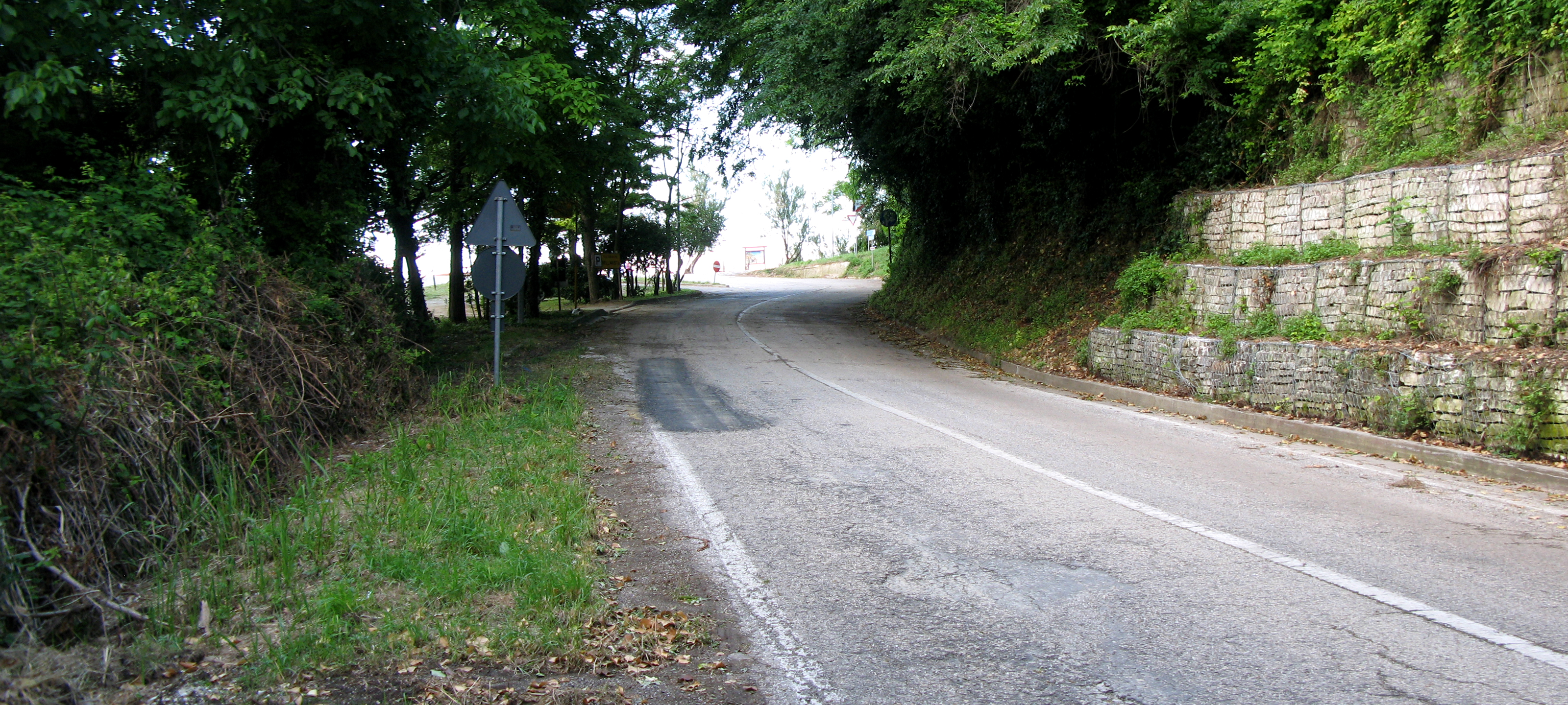Parco Monte San Bartolo Sentiero 156 - immagine 12