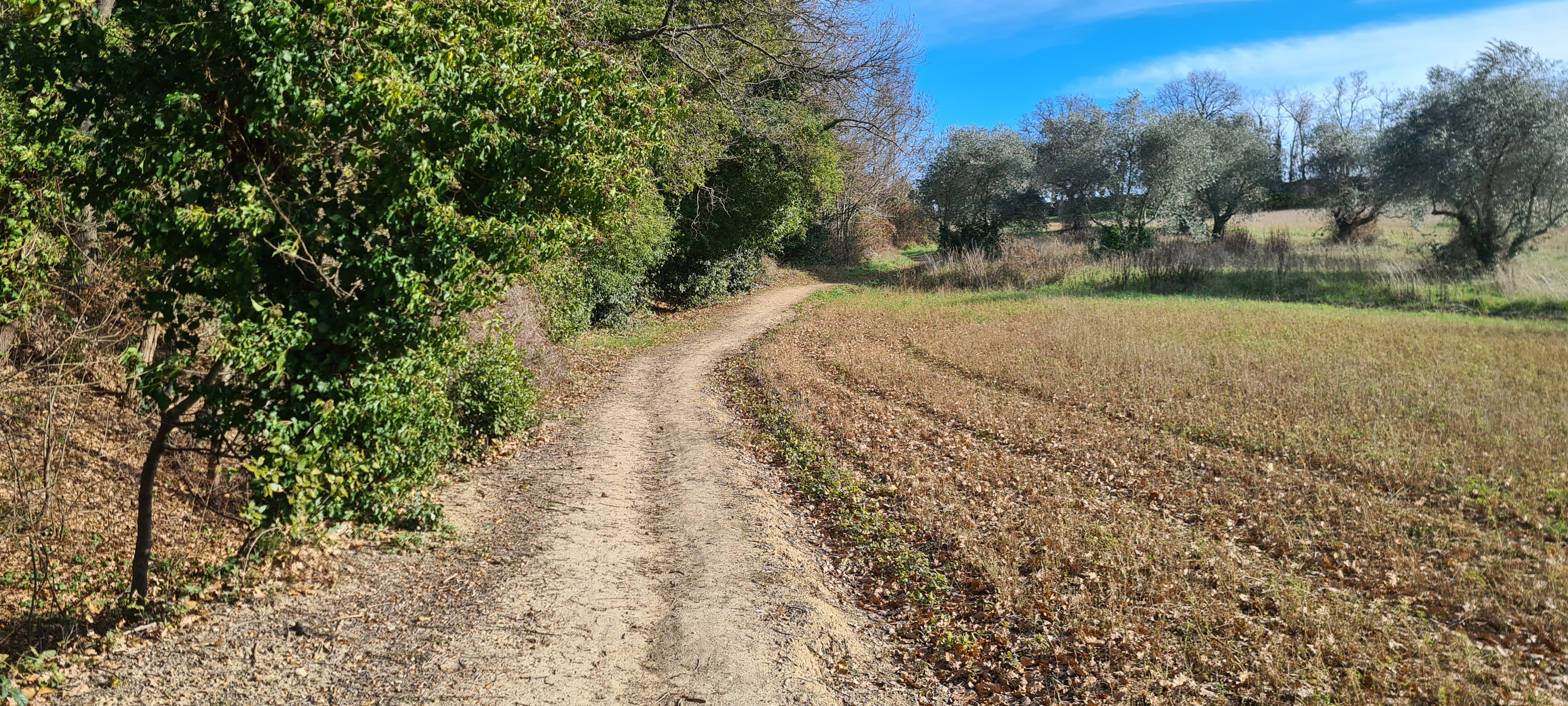 Parco Monte San Bartolo Sentiero 156a - immagine 4