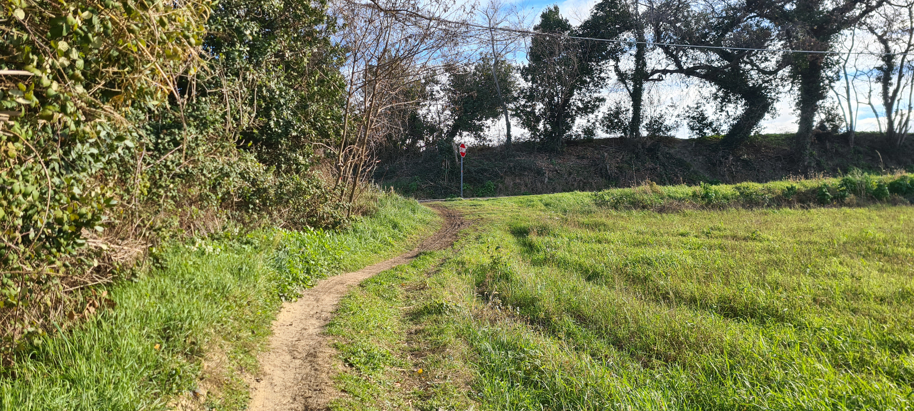 Parco Monte San Bartolo Sentiero 156a - immagine 5