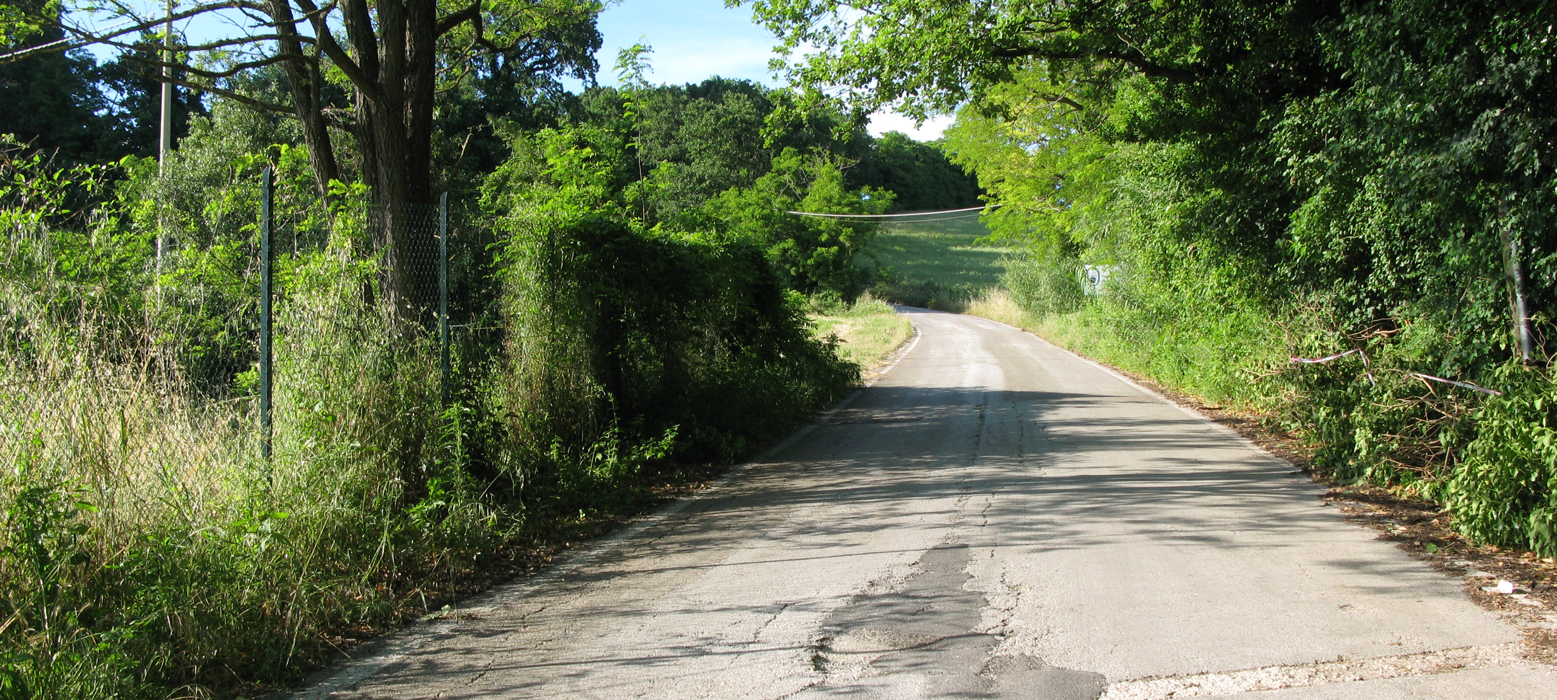 Parco Monte San Bartolo Sentiero 156b - immagine 2
