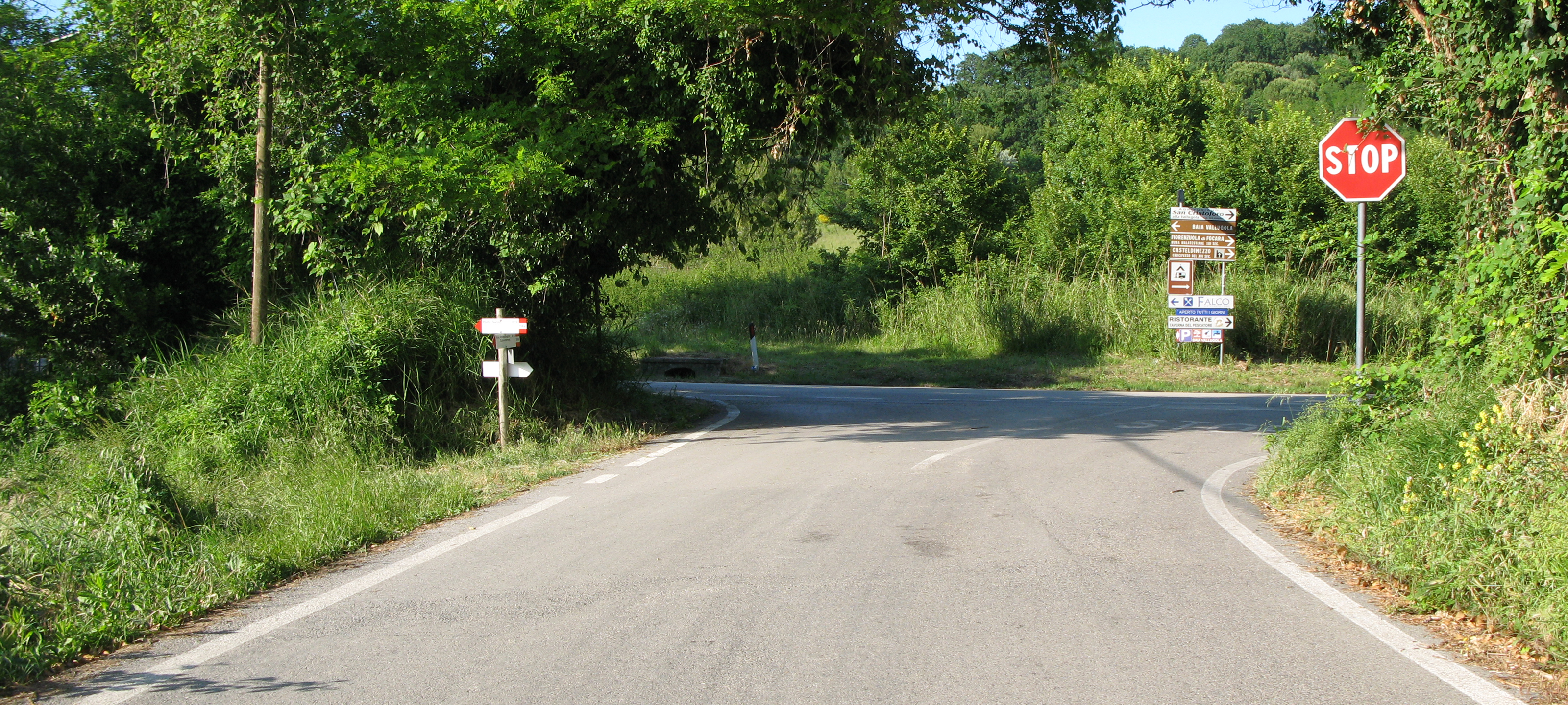 Parco Monte San Bartolo Sentiero 156b - immagine 4