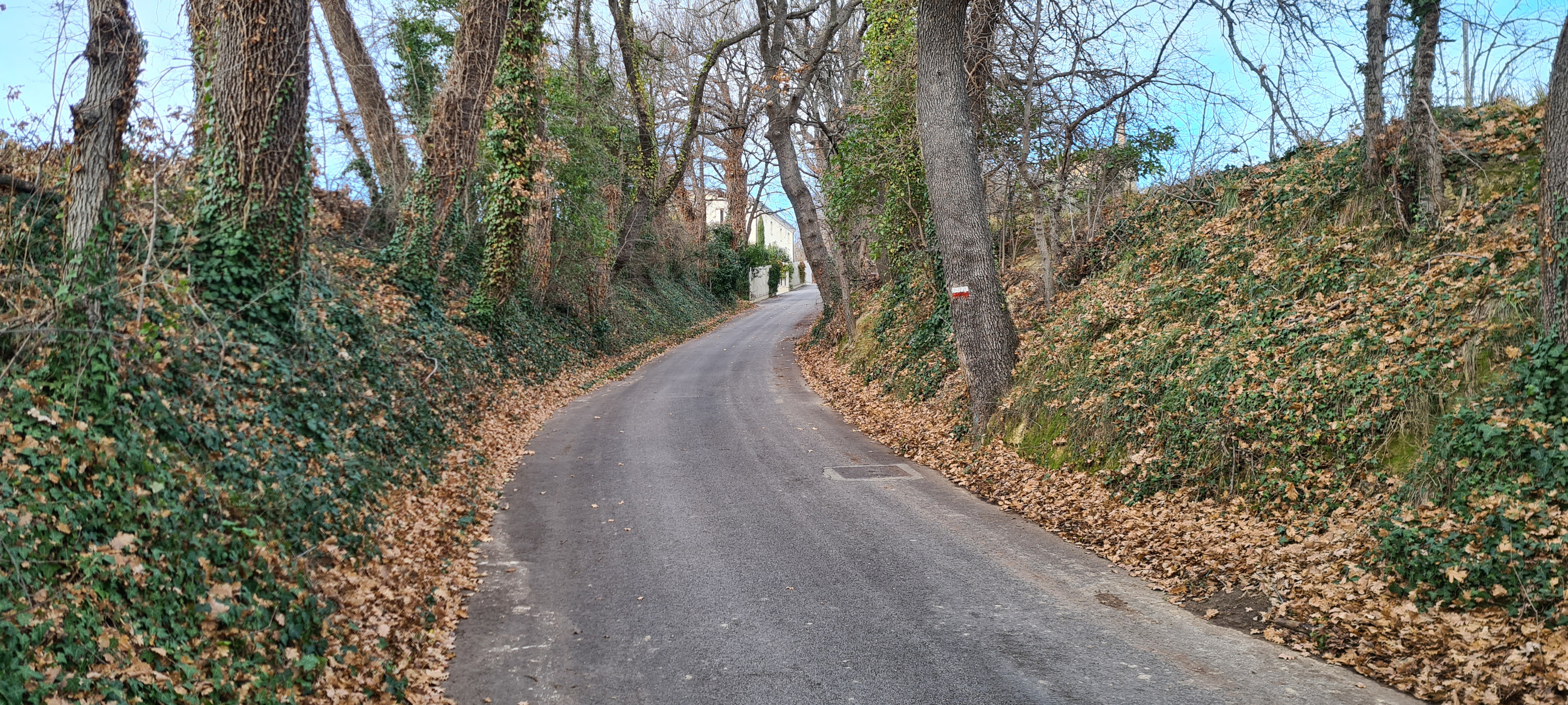 Parco Monte San Bartolo Sentiero 157 - immagine 1