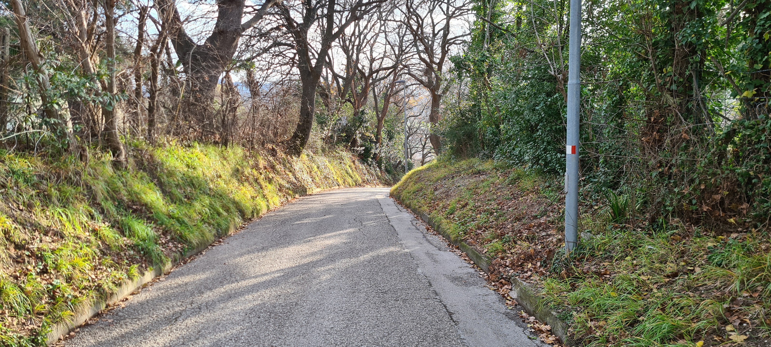 Parco Monte San Bartolo Sentiero 157 - immagine 5