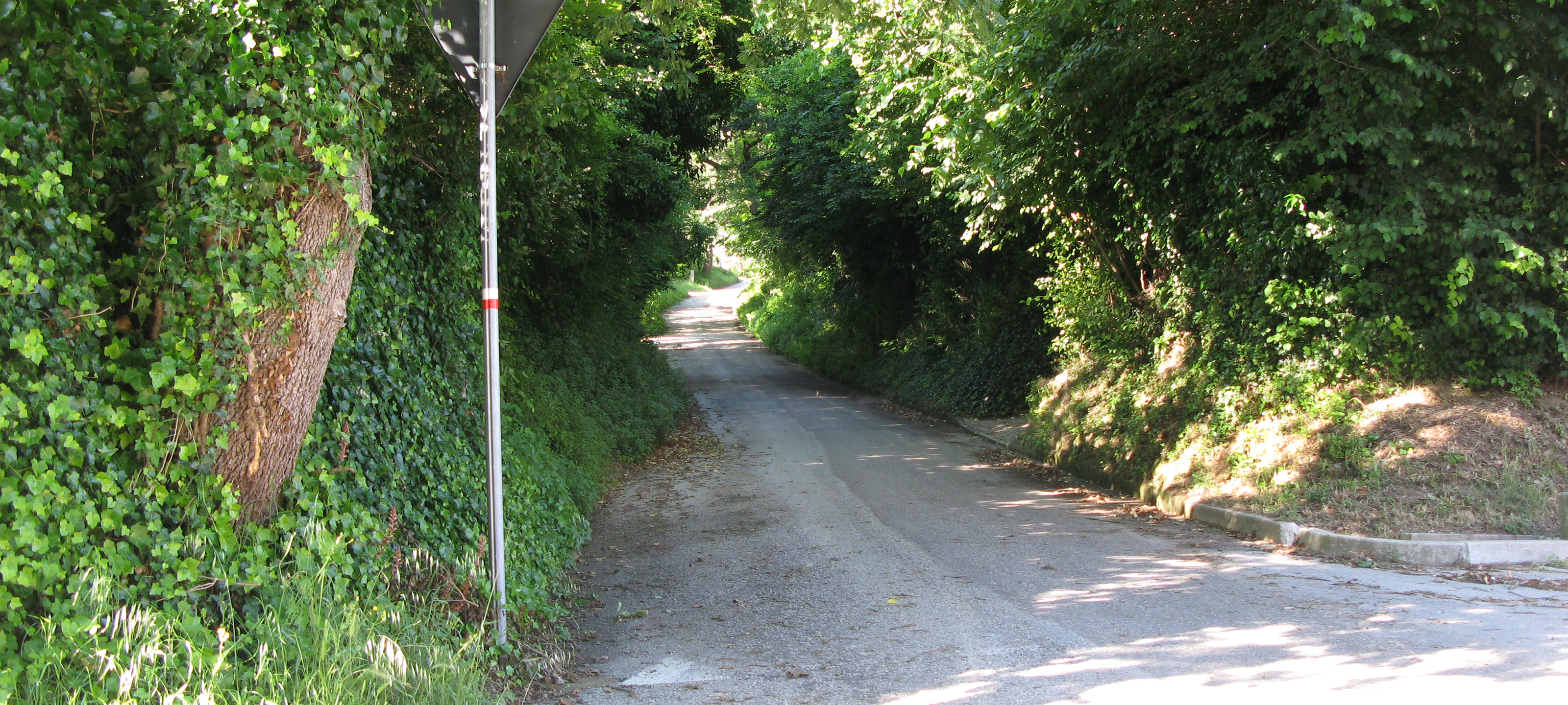 Parco Monte San Bartolo Sentiero 157 - immagine 7