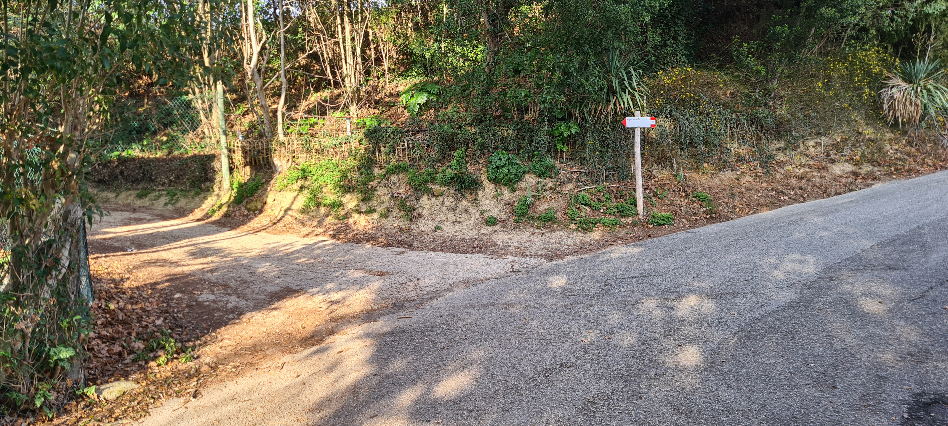 Parco Monte San Bartolo Sentiero 157 - immagine 8