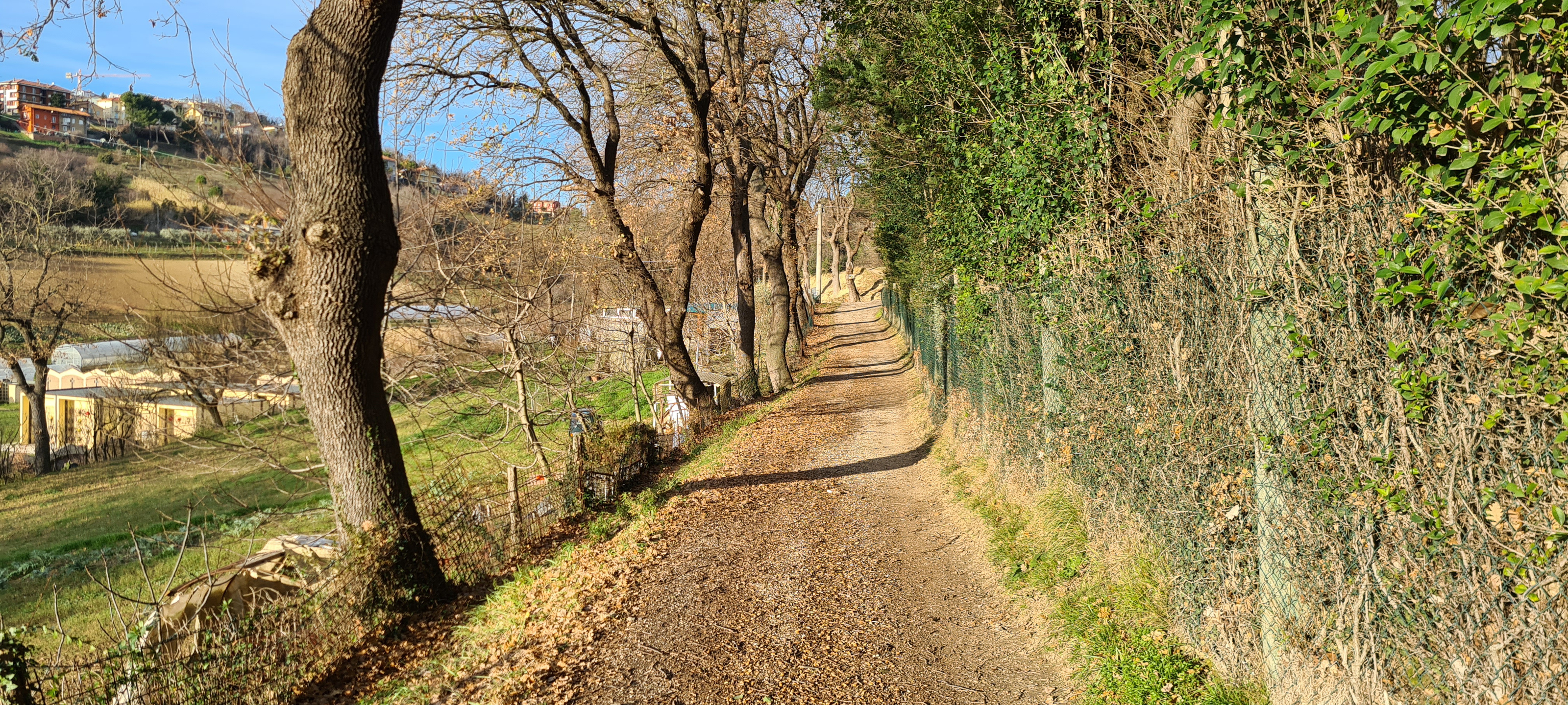 Parco Monte San Bartolo Sentiero 157 - immagine 9