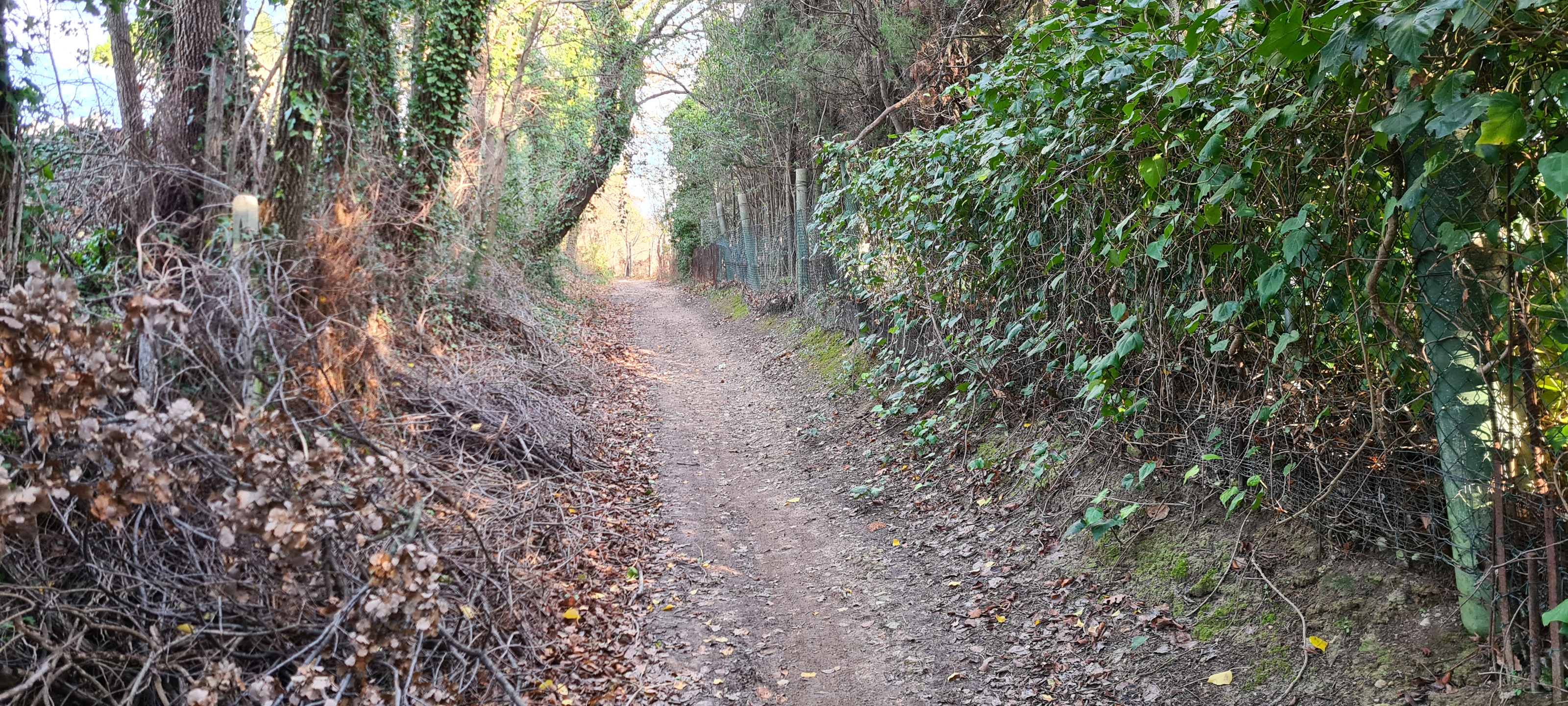 Parco Monte San Bartolo Sentiero 157 - immagine 10