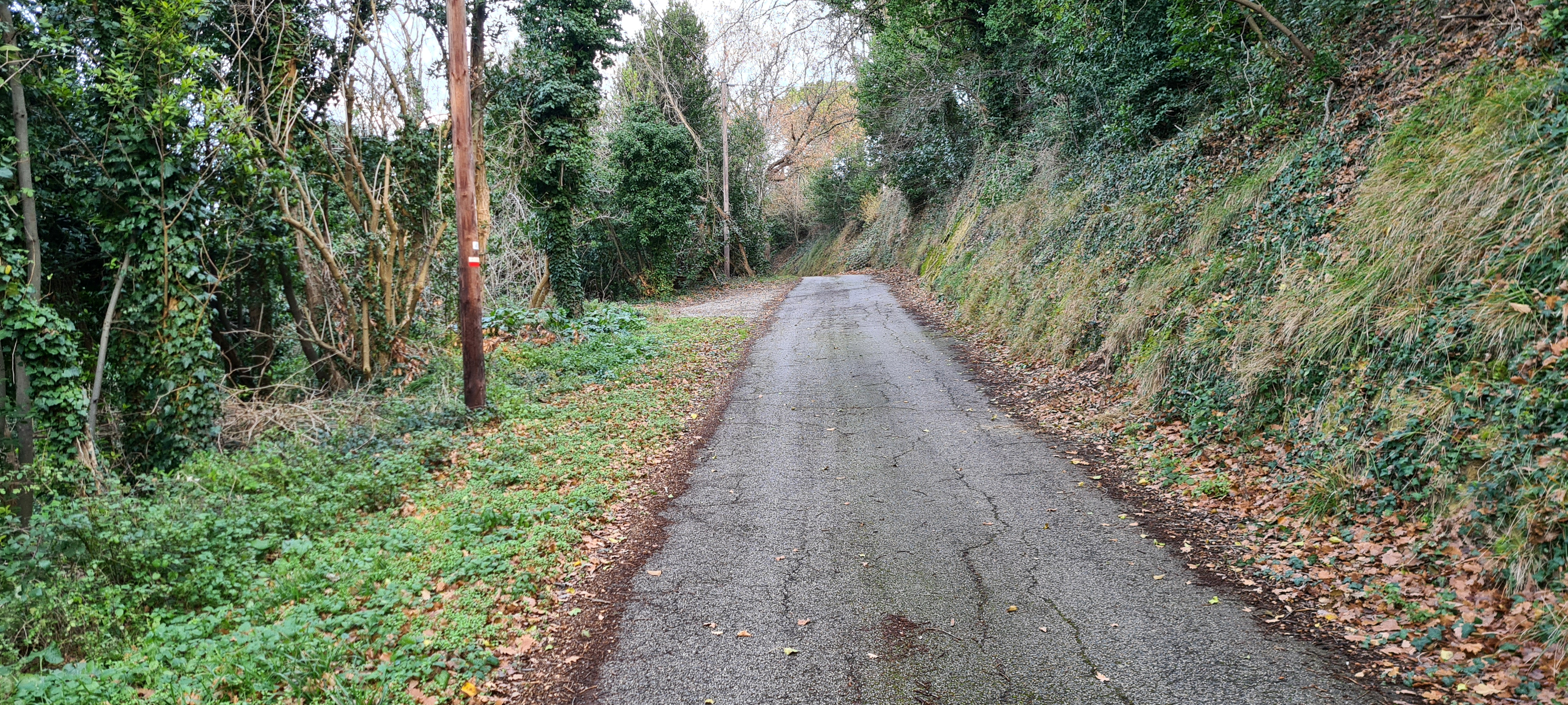 Parco Monte San Bartolo Sentiero 157 - immagine 11