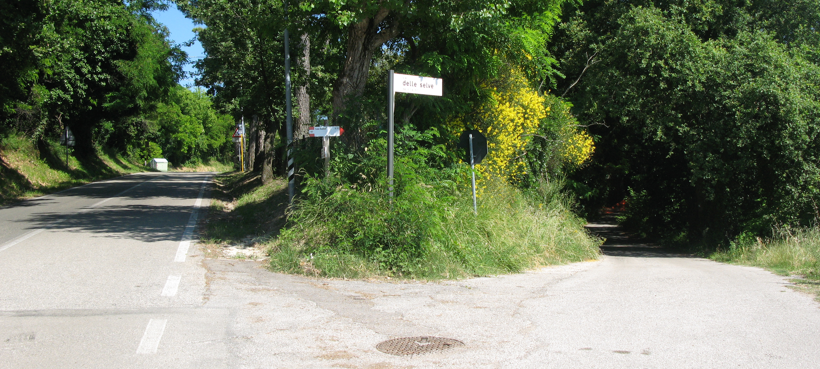 Parco Monte San Bartolo Sentiero 157 - immagine 12