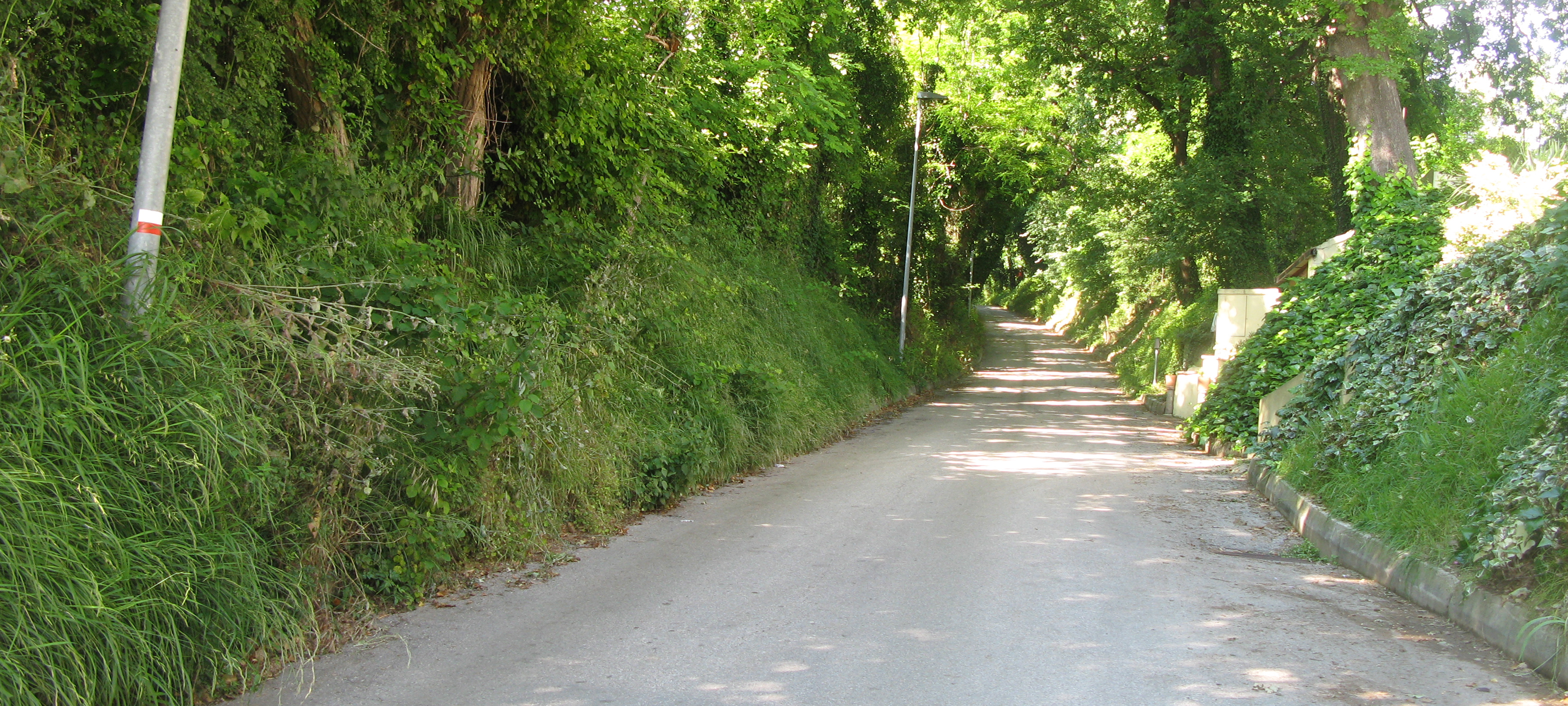 Parco Monte San Bartolo Sentiero 157a - immagine 1