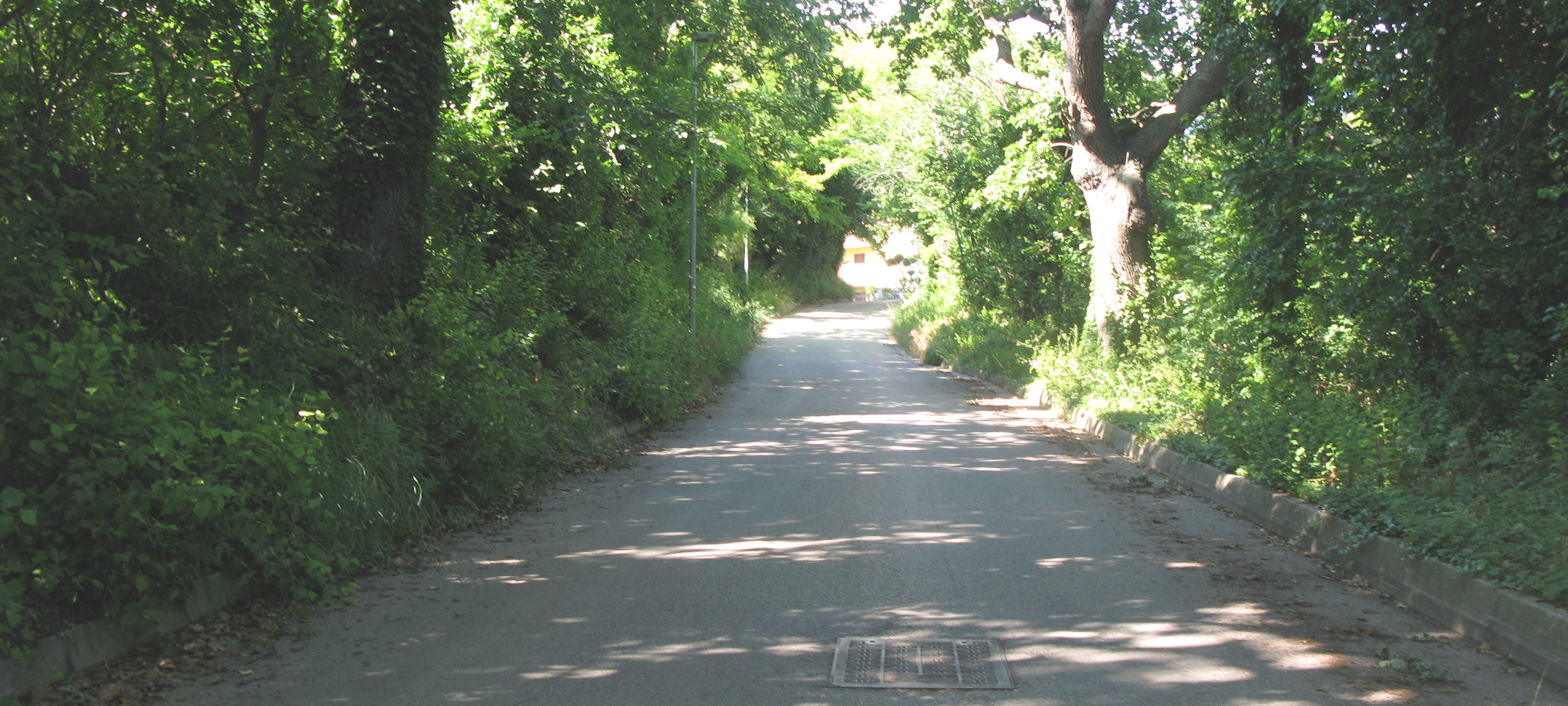 Parco Monte San Bartolo Sentiero 157a - immagine 2