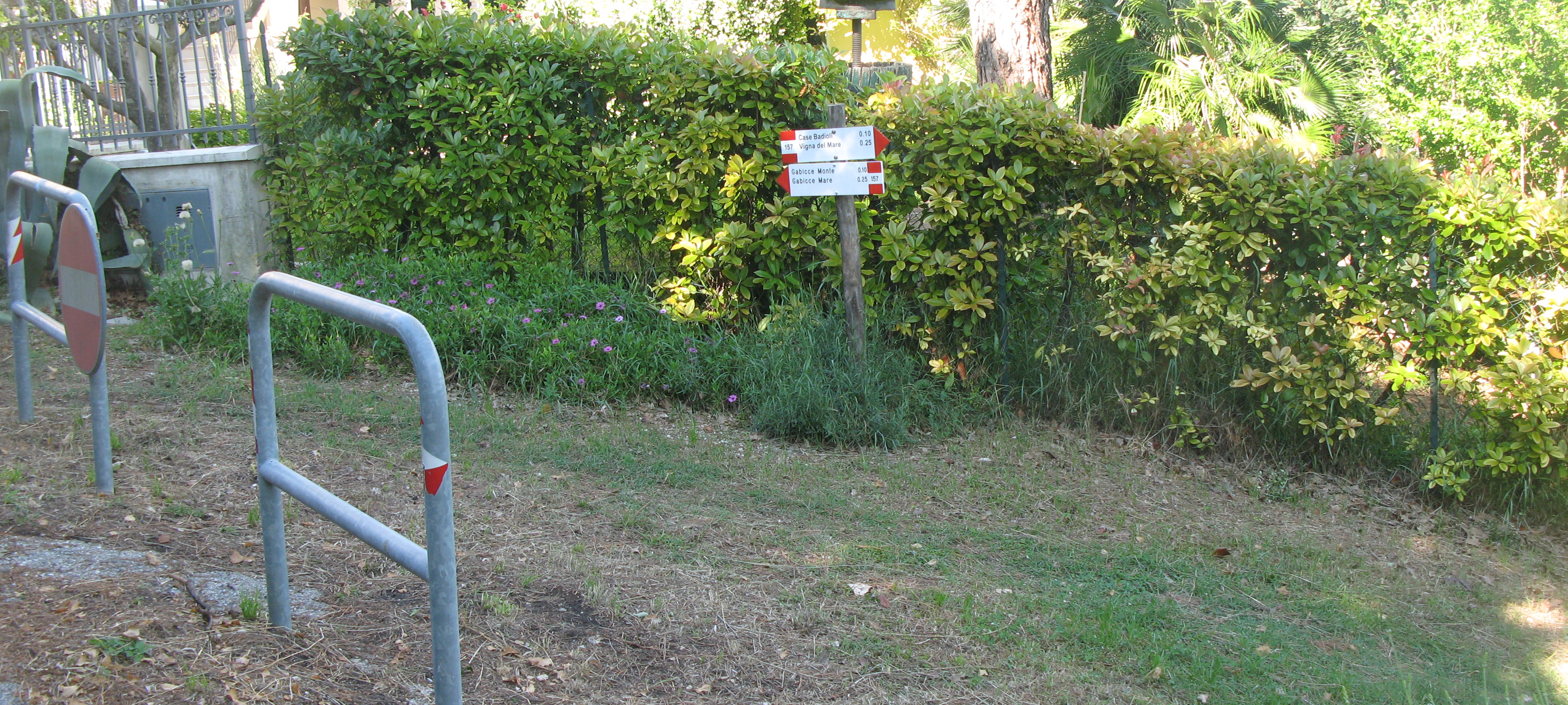 Parco Monte San Bartolo Sentiero 157a - immagine 3