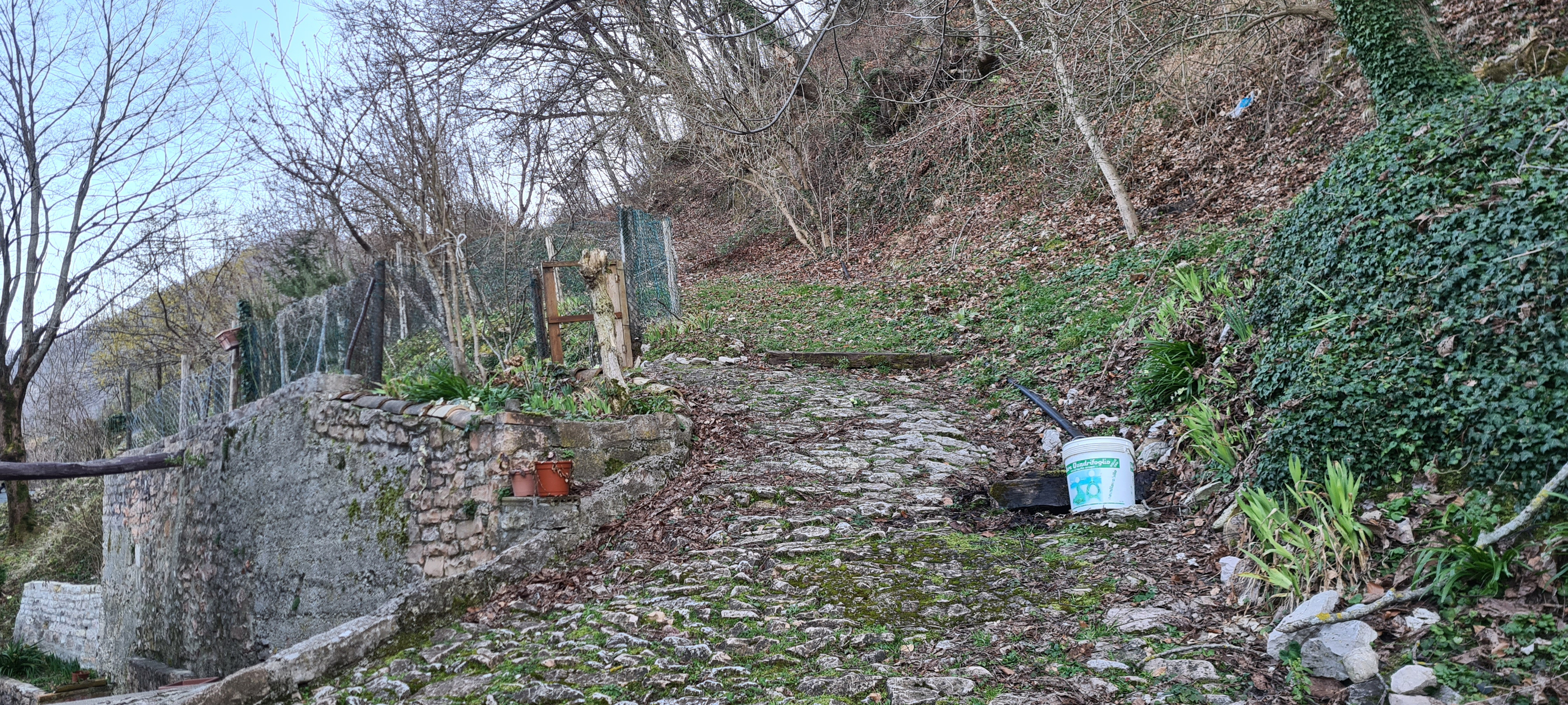 Monte Nerone Sentiero 16 - immagine 1 (Cardella)