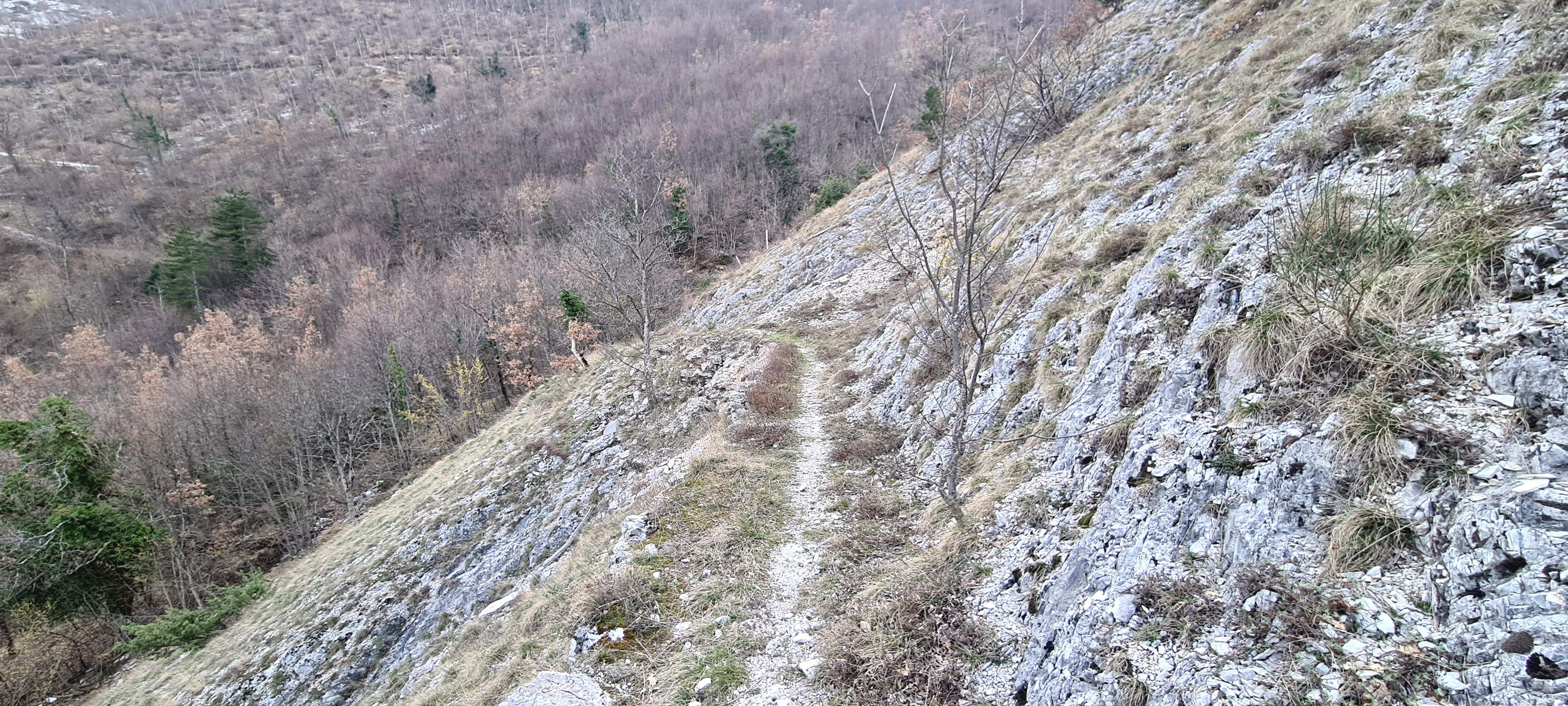 Monte Nerone Sentiero 16 - immagine 3